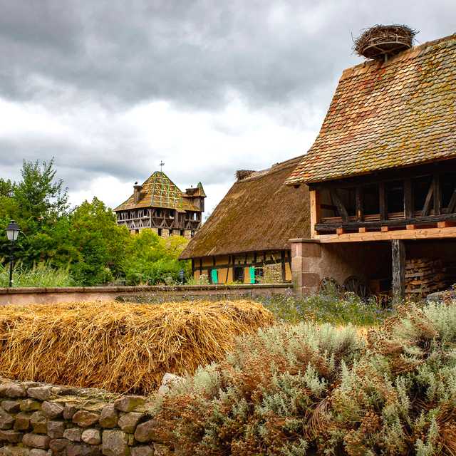 Strasbourg to Écomusée d'Alsace: Private day trip