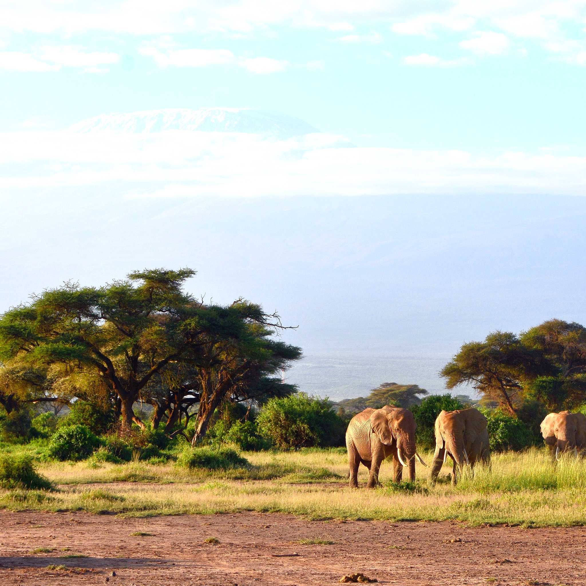 Private car transfers in Kenya from Nairobi Jomo Kenyatta International Airport