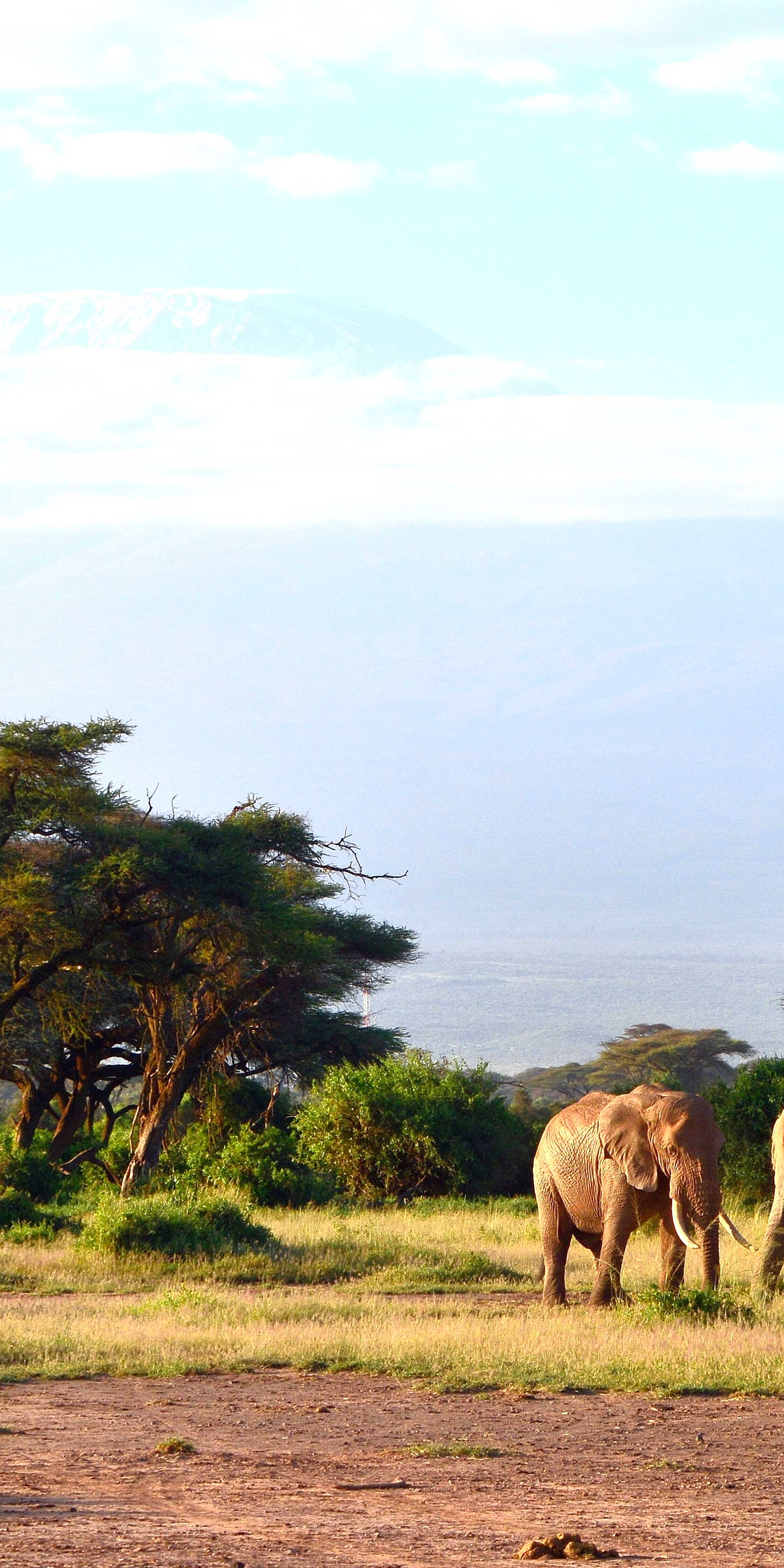 Nairobi Jomo Kenyatta International Airport
