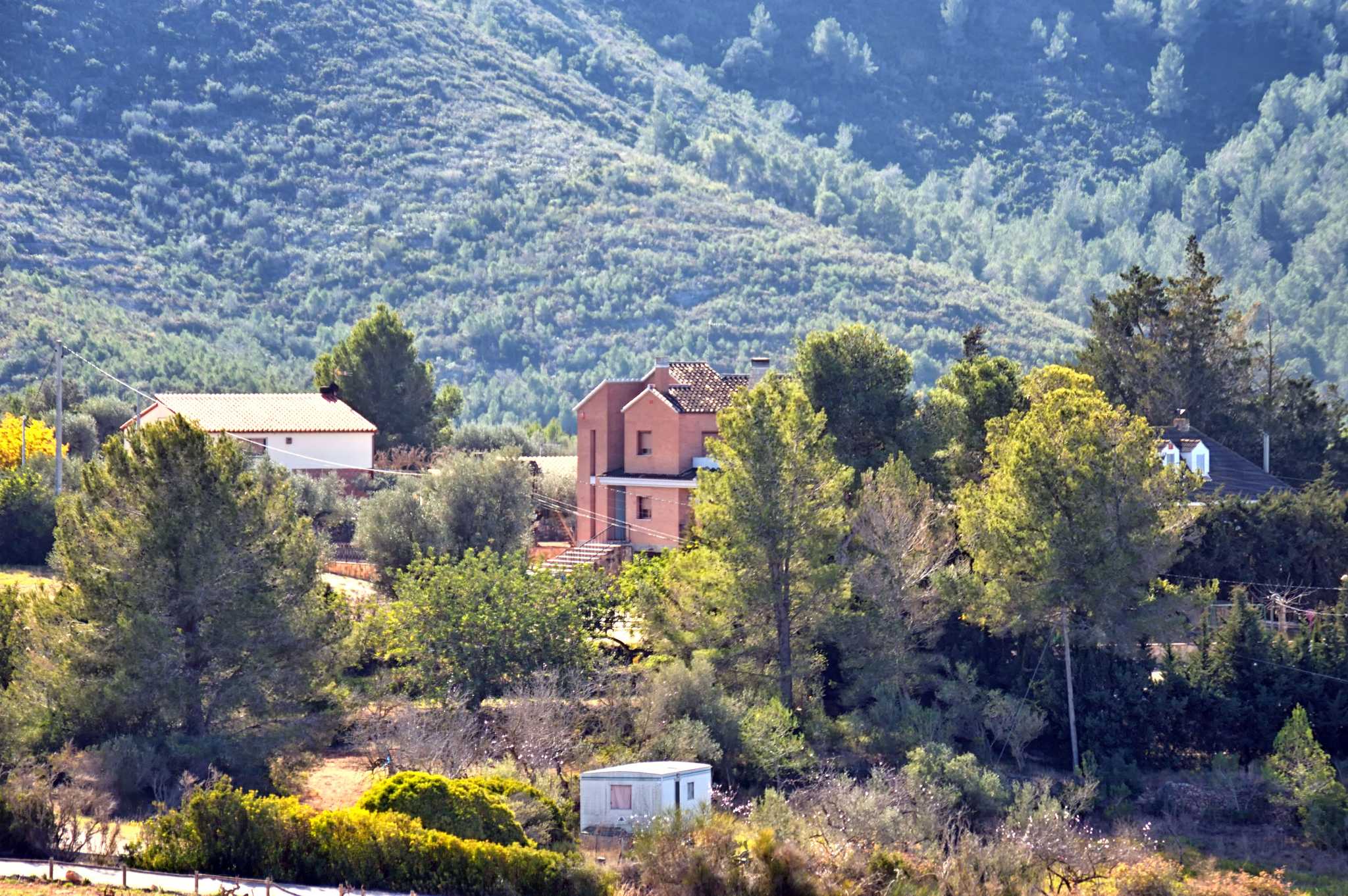 Private car transfer services in Ambros Winery - scenic view on Ambros Winery in Spain