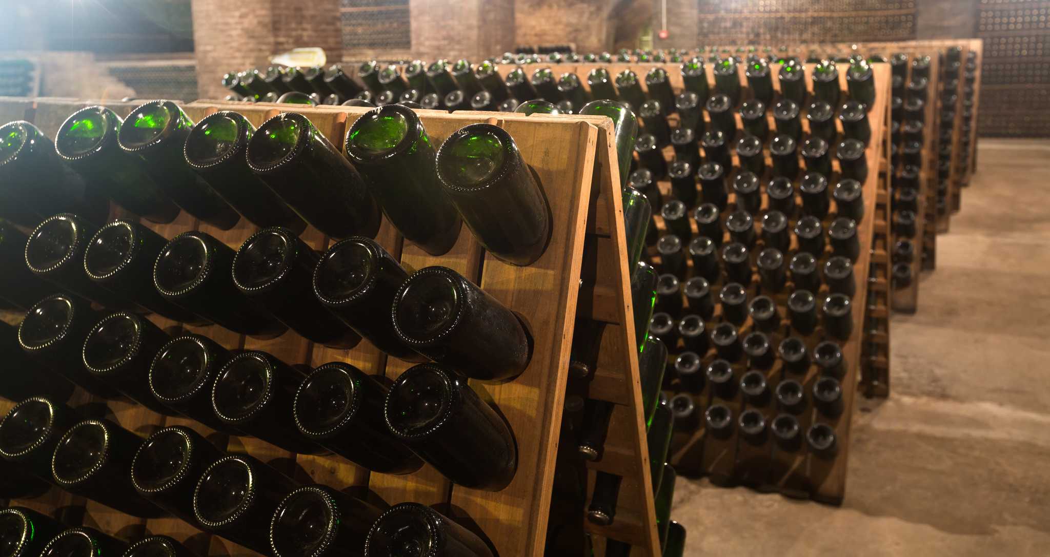 Sample globally renowned Malbec wines in the Uco Valley.