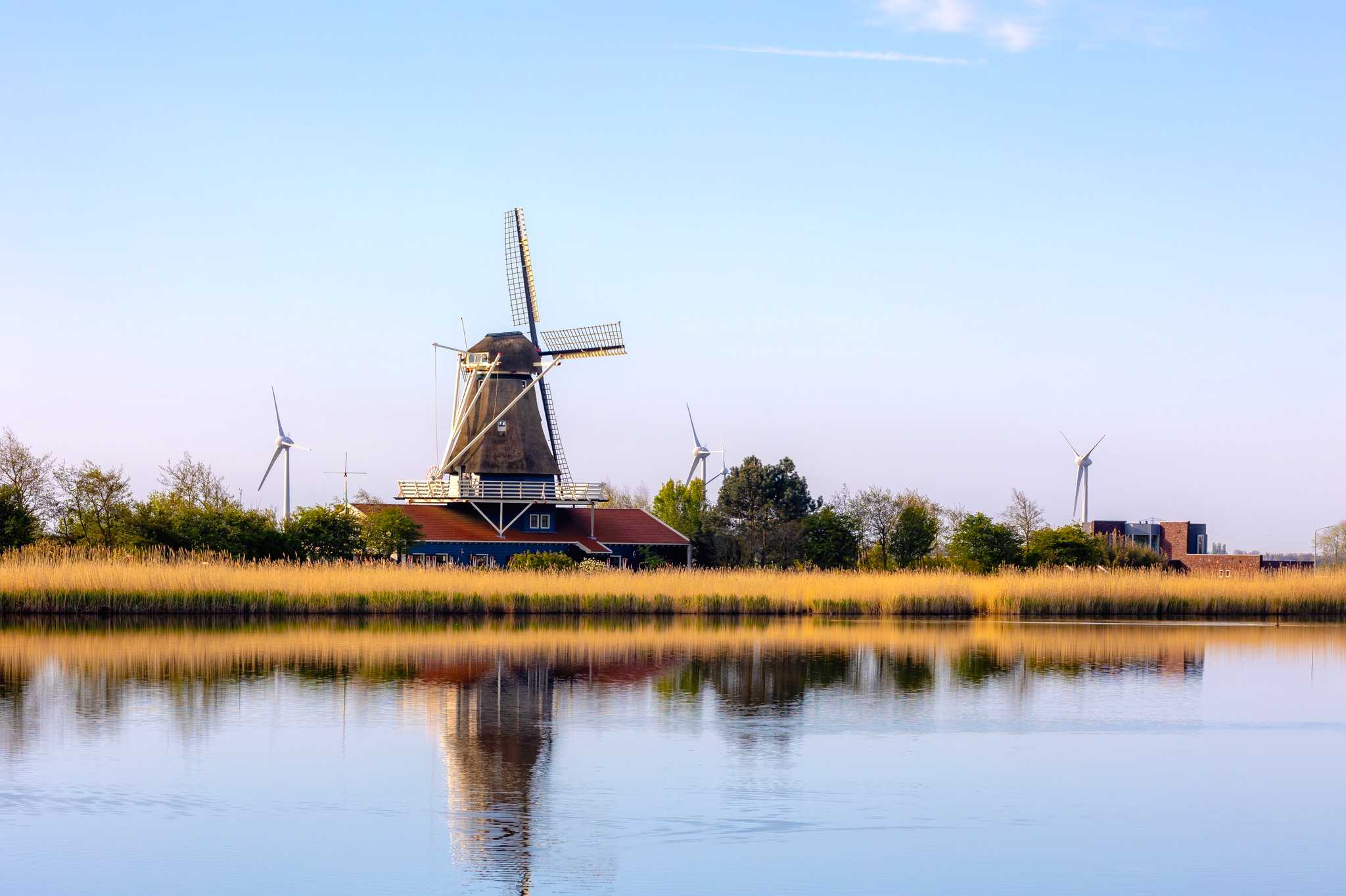 Option privée d'excursion d'une journée depuis Amsterdam