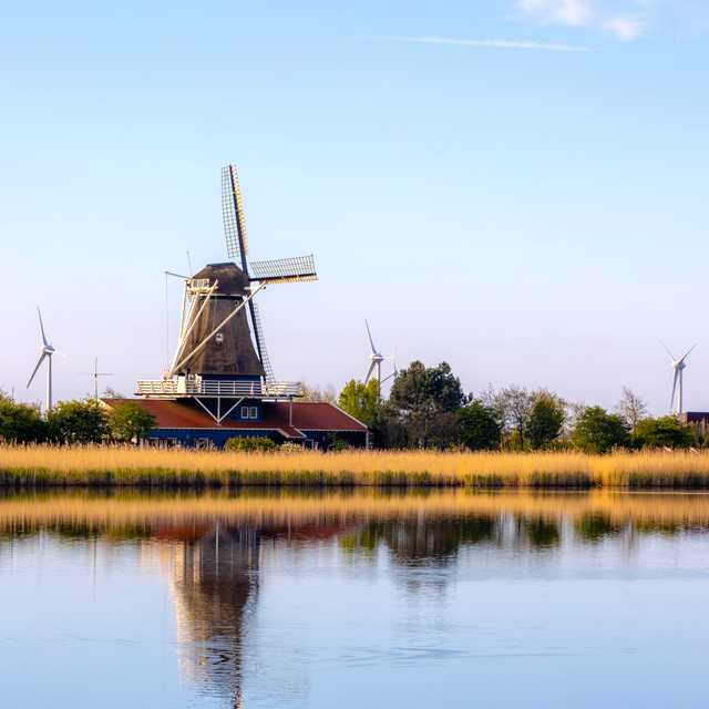 Amsterdam to Callantsoog and Anna Paulowna: Private day trip