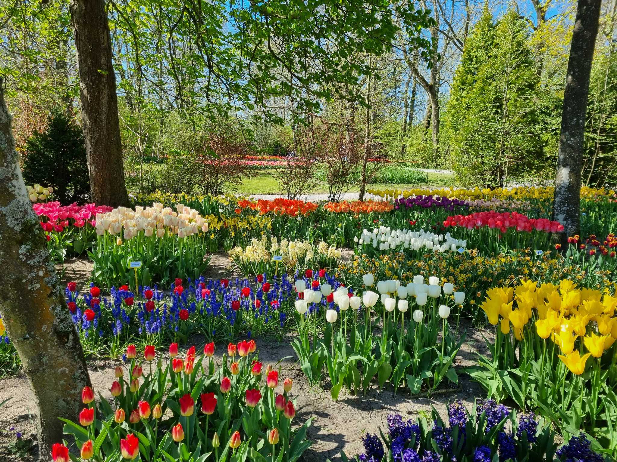 Itinerary stop at Anna Paulowna on private day trip from Amsterdam