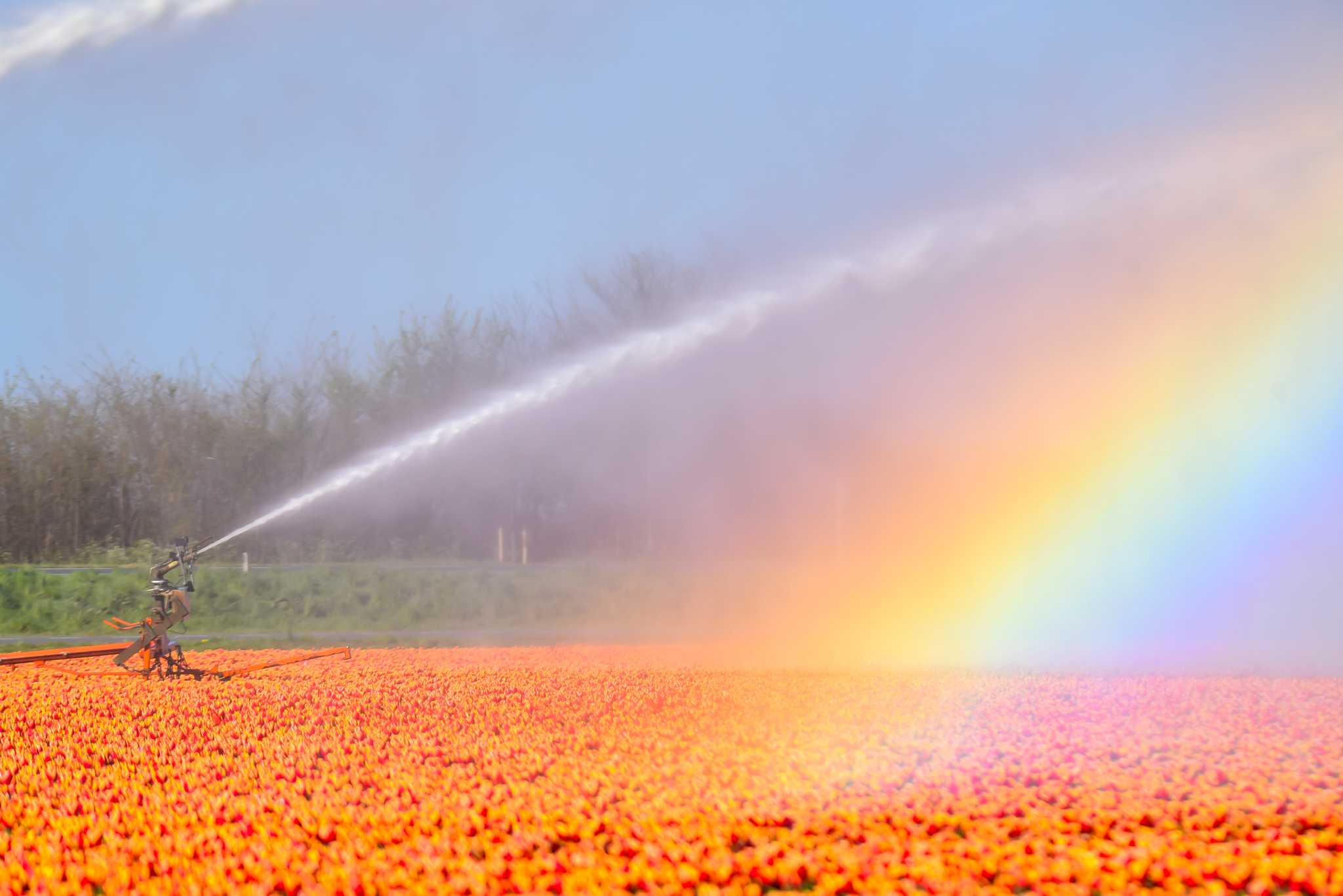 Private day trip option from Utrecht