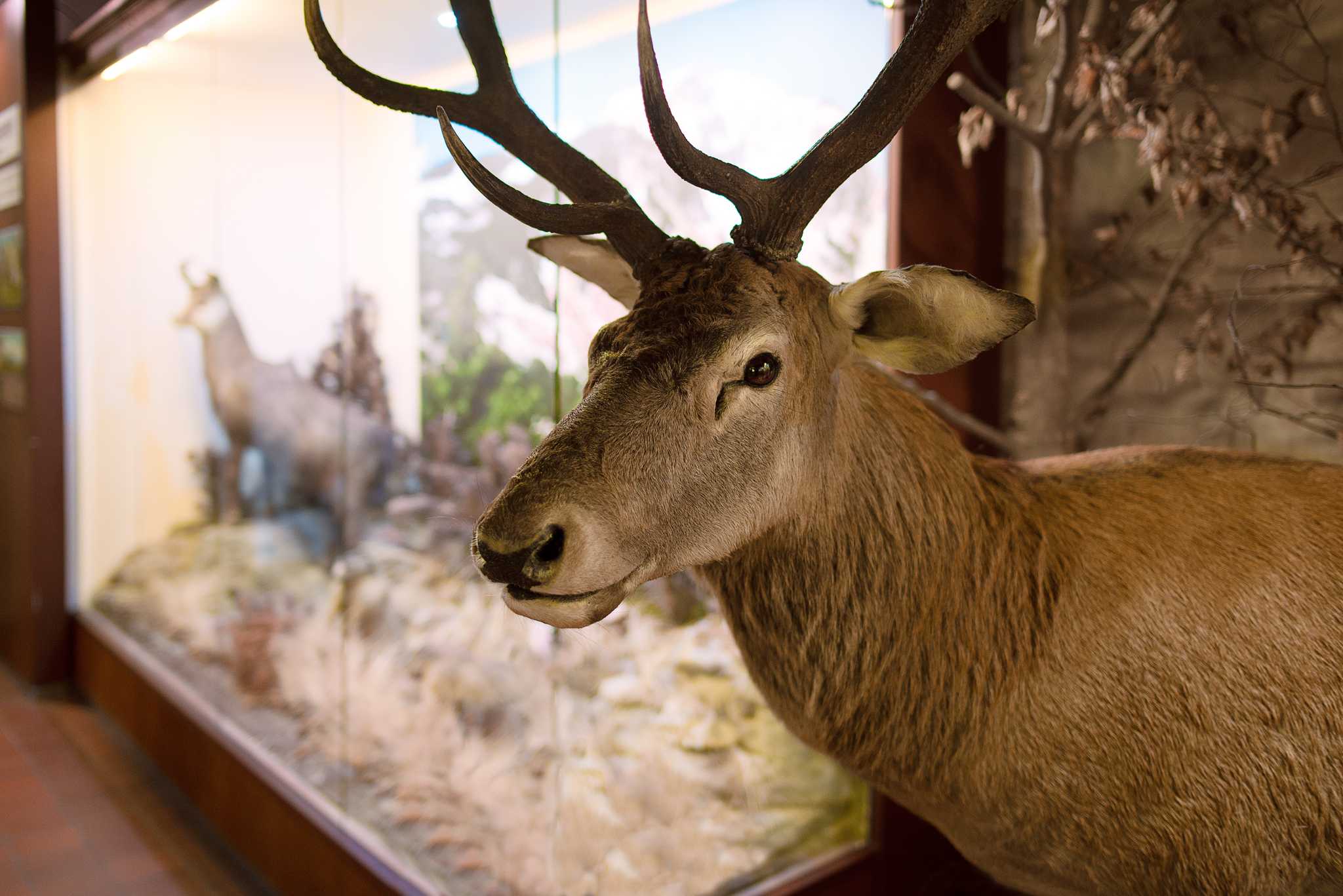 Visitez Anniston Museums and Gardens sur le chemin de atlanta-ga-us à george-bush-intercontinental-airport-tx-us avec Daytrip