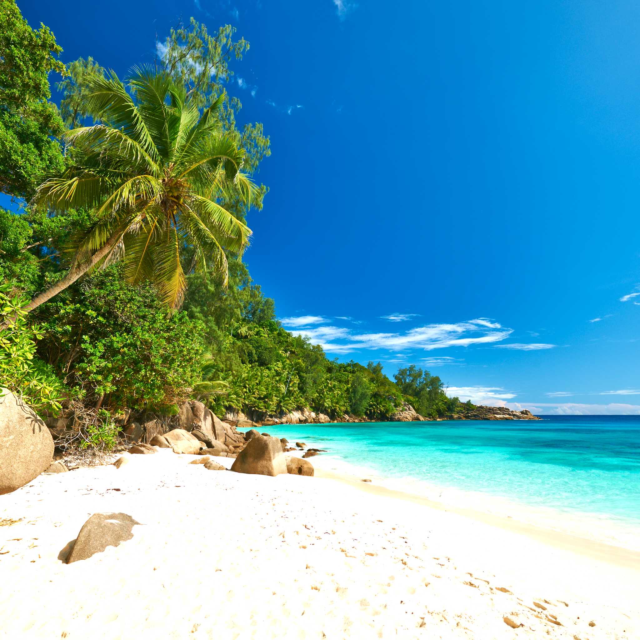 Anse Intendance