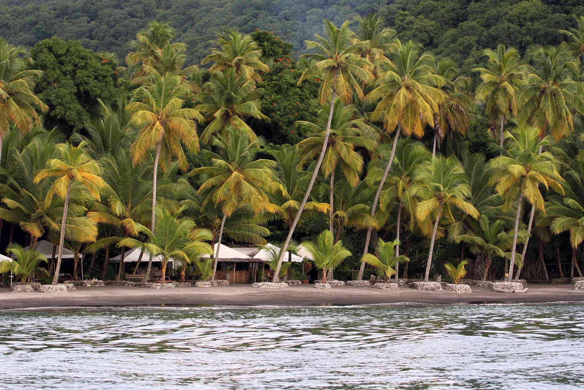 Vue pittoresque de Castries - excursion privée d'une journée depuis Anse Mamin - photo 5