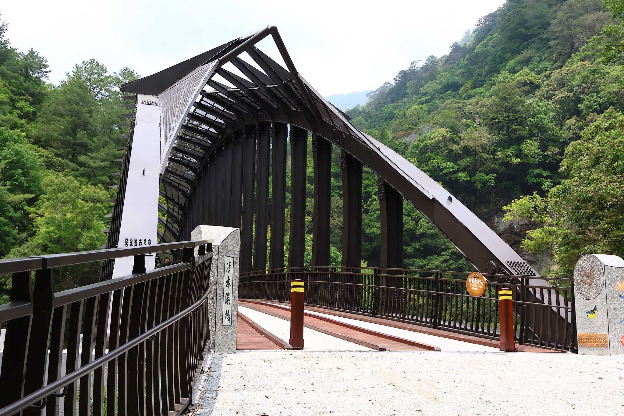 Private car transfer services in Aowanda National Forest Recreation Area - scenic view on Aowanda National Forest Recreation Area in Taiwan