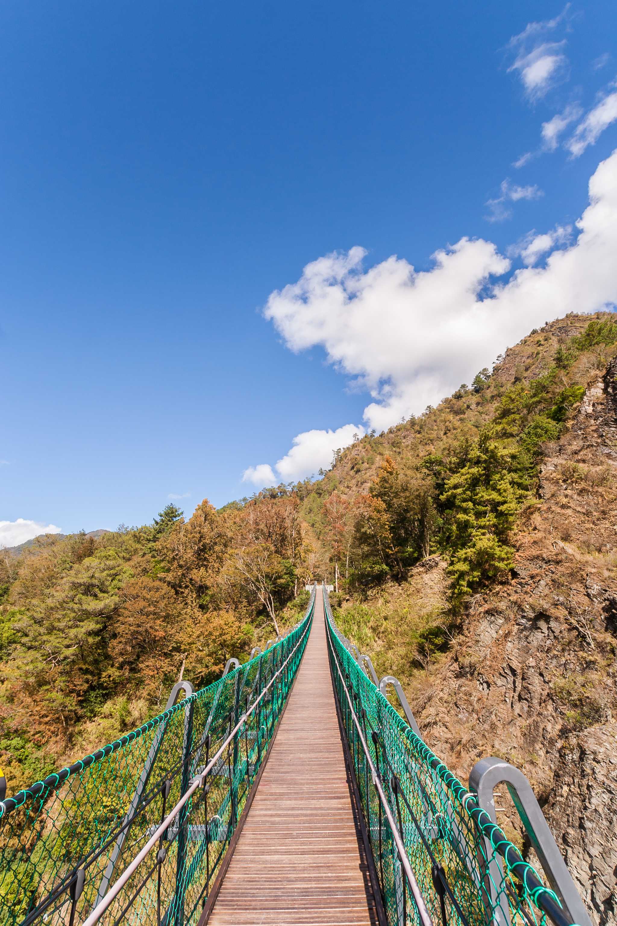 A long wooden and metal bridge reaches across a valley of trees to the next peak.