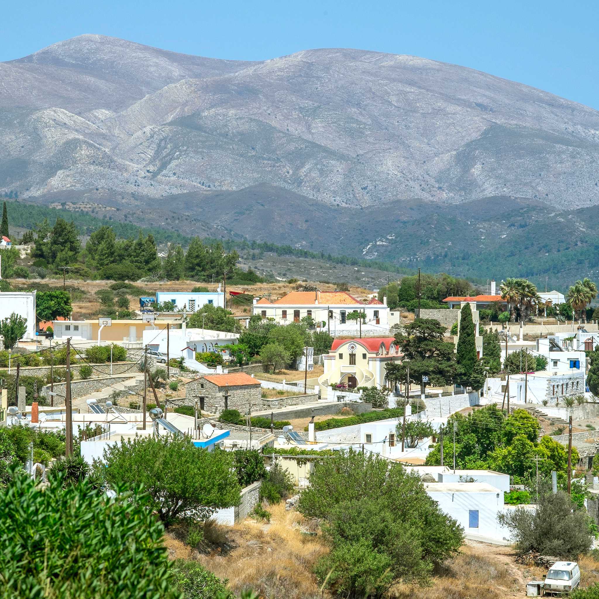 Apollona