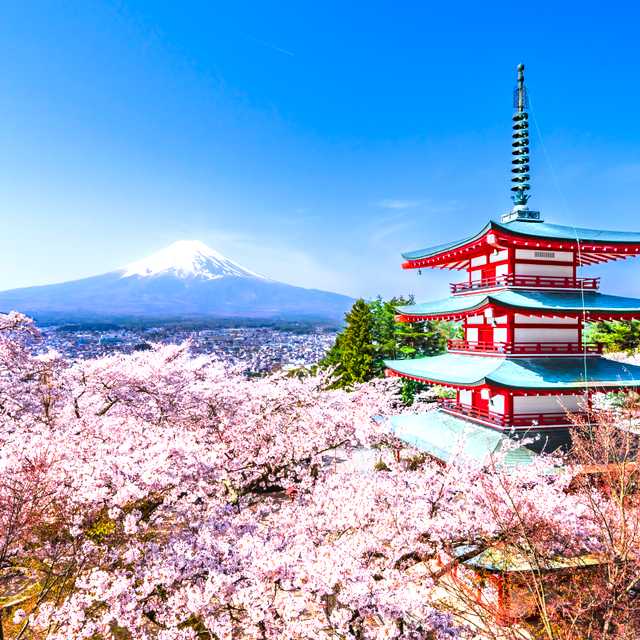 Tokyo to Arakurayama Sengen Park and Yokohama: Day trip