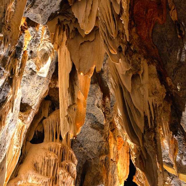 Auckland to glowworm caves: Private day trip