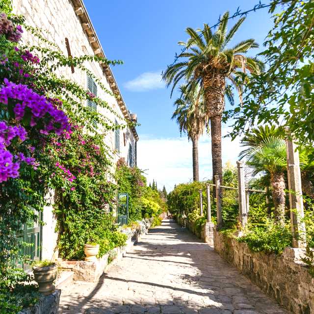 Medjugorje to Trsteno and Trpanj: Private day trip