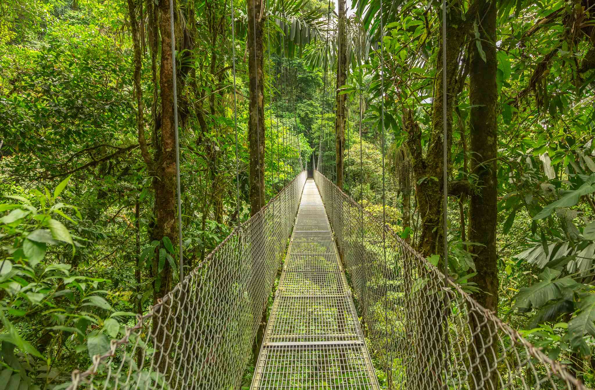 Blick auf die Landschaft von Arenal Volcano National Park - private Tagesreise von San Jose - Foto 3