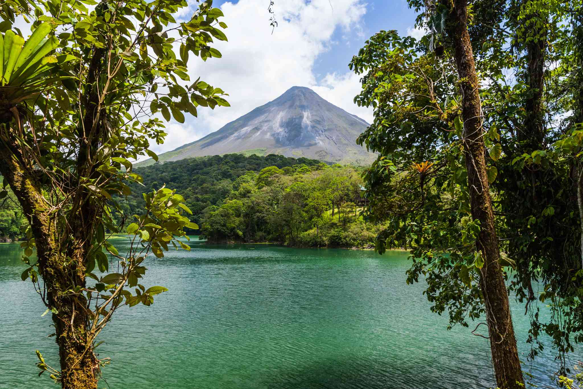 Blick auf die Landschaft von Arenal Volcano National Park - private Tagesreise von San Jose - Foto 4