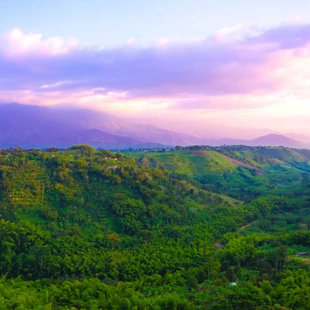 Pereira to Armenia and National Coffee Park Private day trip