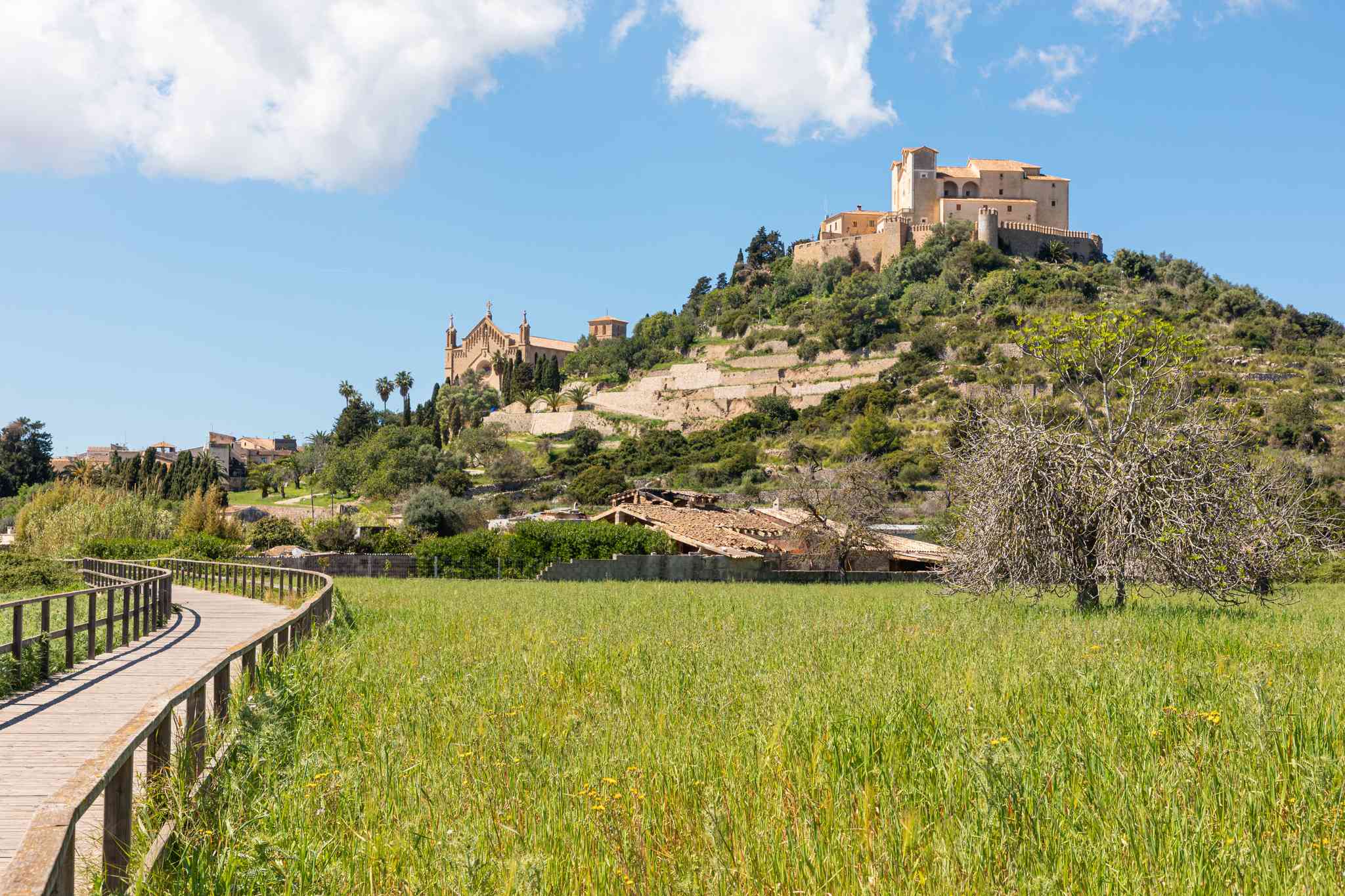 Scenic view of Palma de Mallorca - private day trip from Arta - photo 8