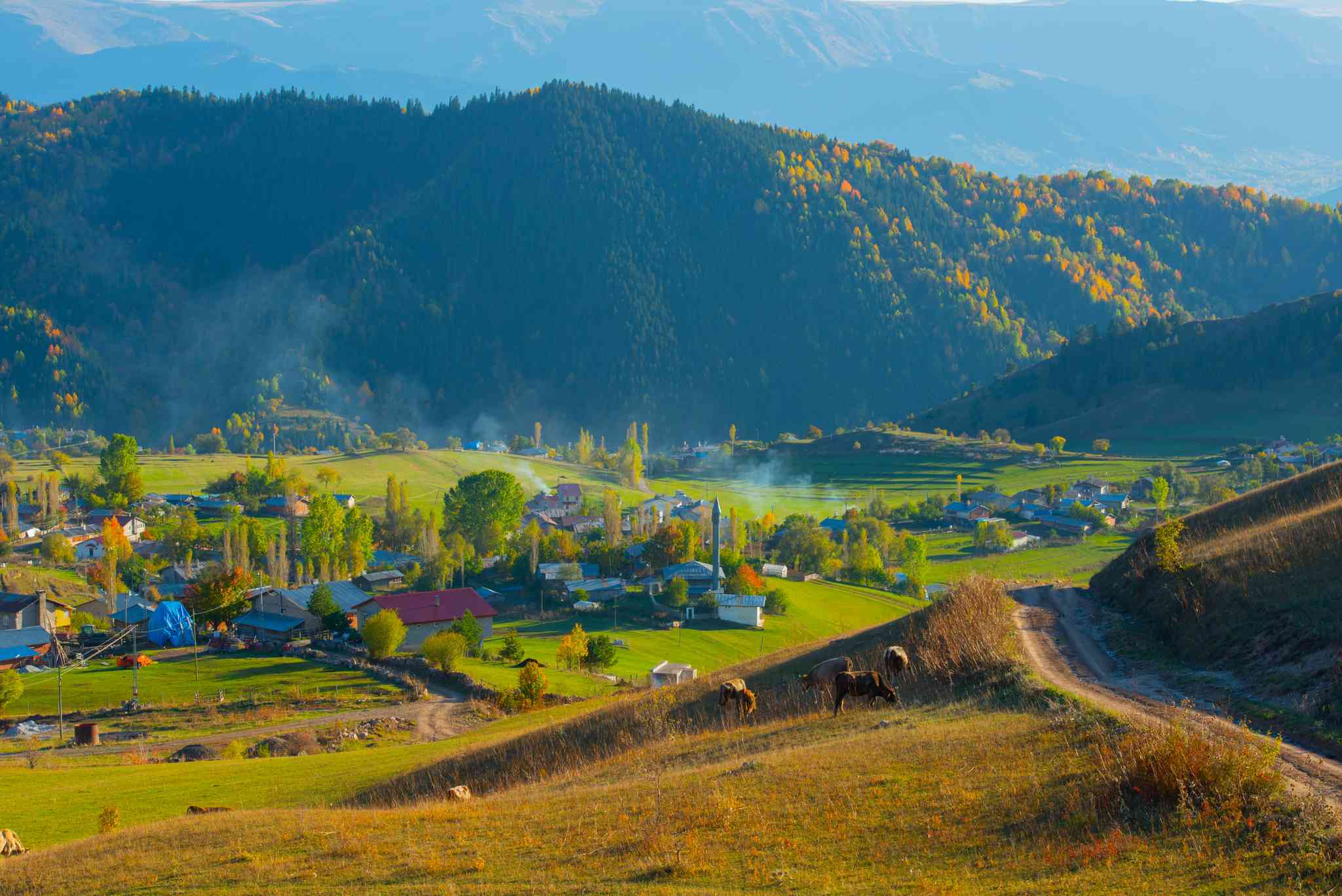 Vacker vy över Batumi - privat dagsutflykt från Artvin - foto 6