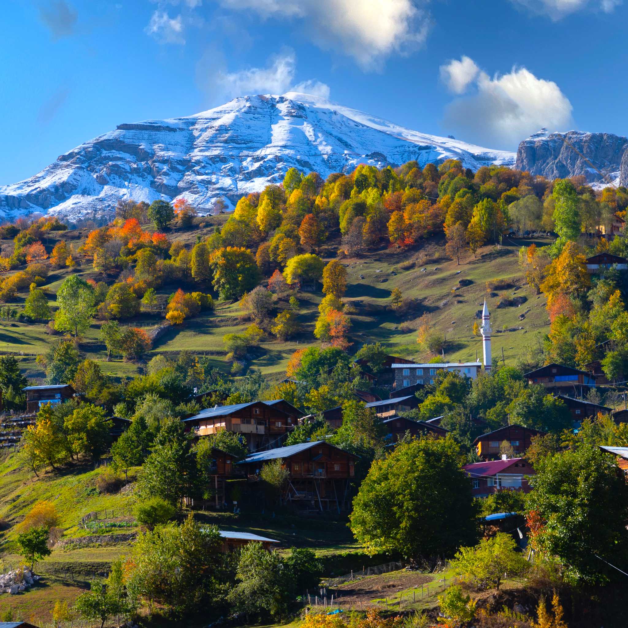 Artvin