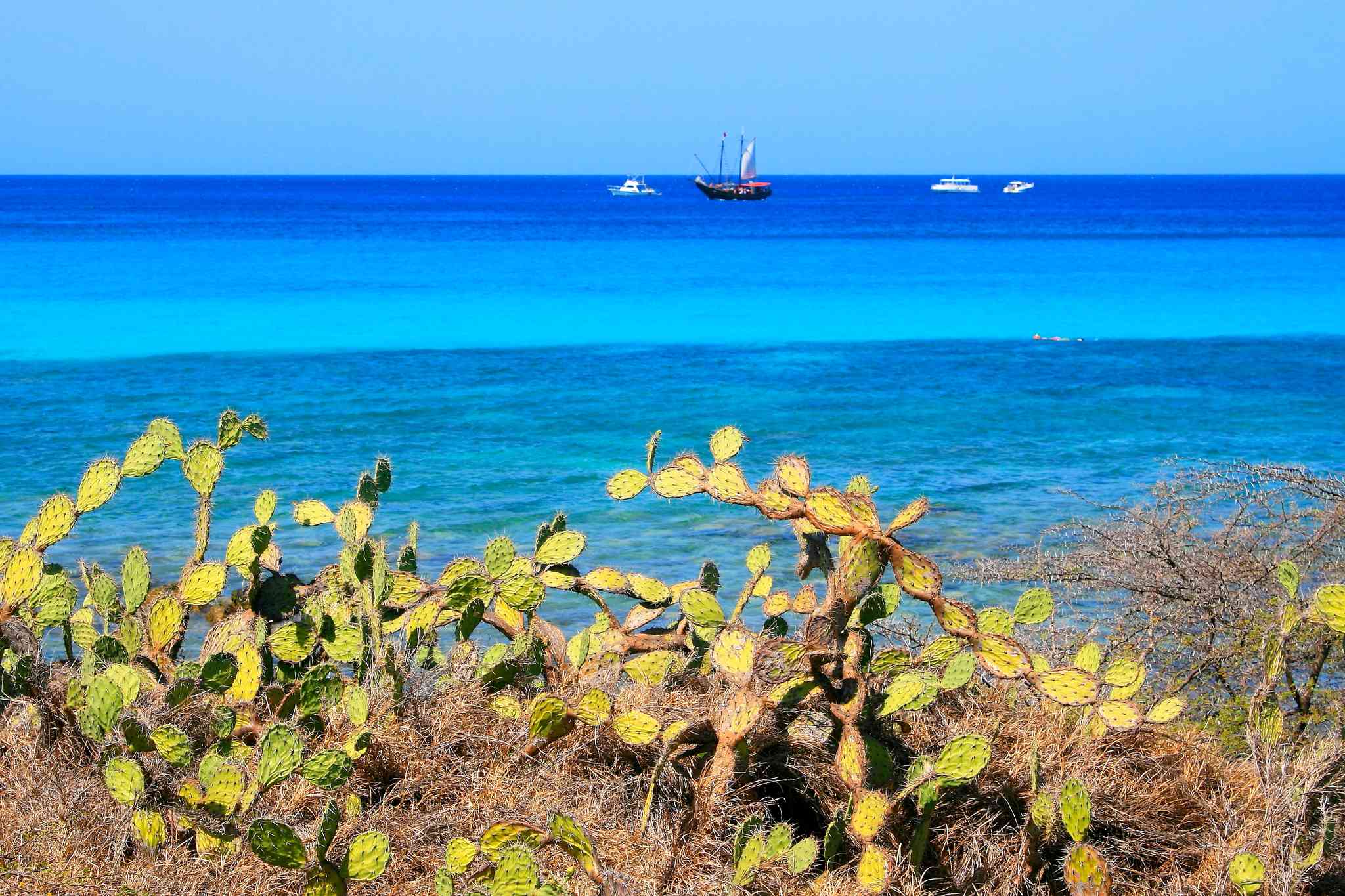 Vacker vy över Oranjestad - privat dagsutflykt från Arashi - foto 6
