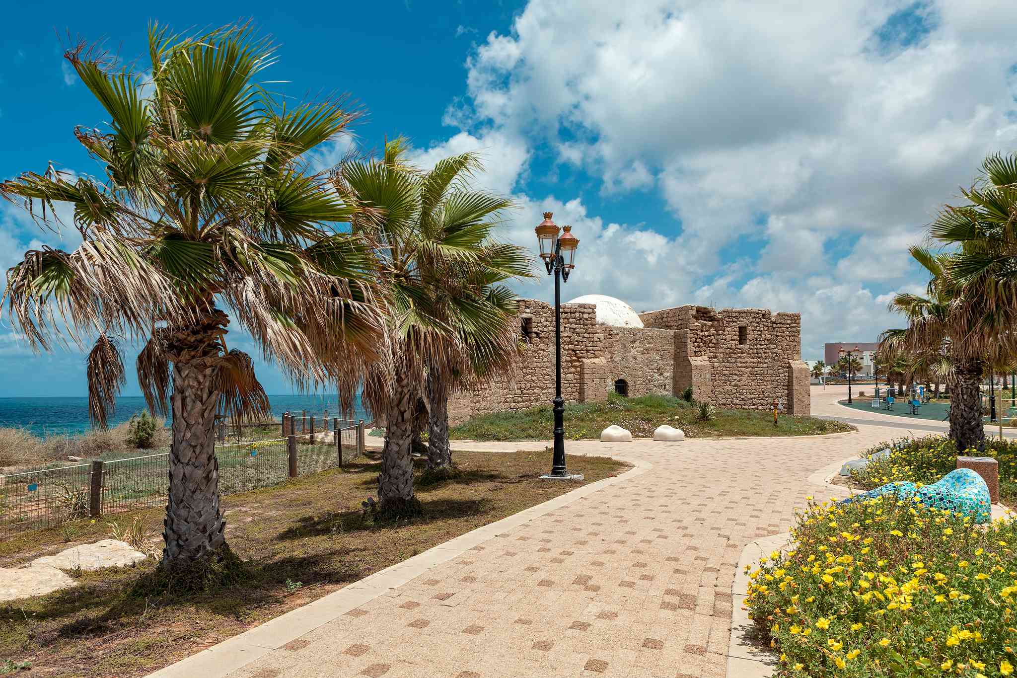 Blick auf die Landschaft von Ashkelon - private Tagesreise von Tel Aviv - Foto 2