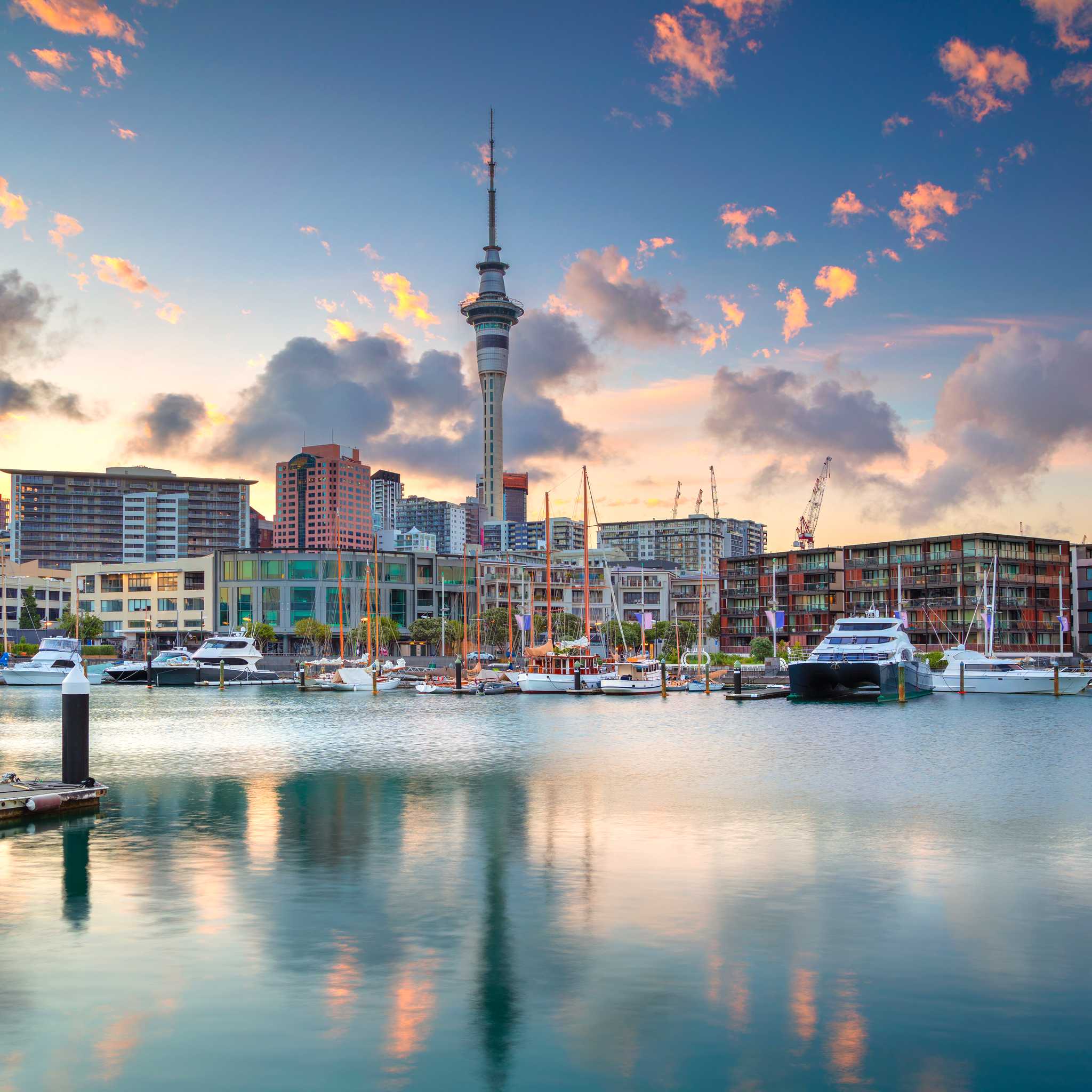 Private car transfers in New Zealand from Auckland