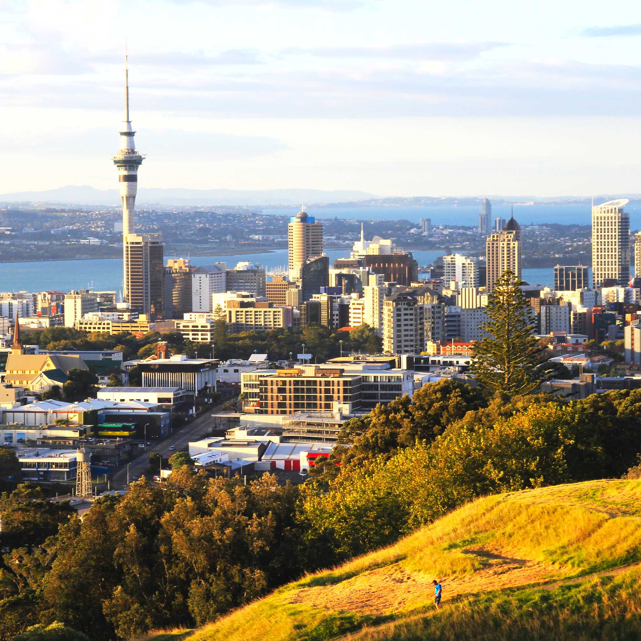 Private car transfers in New Zealand from Auckland Airport