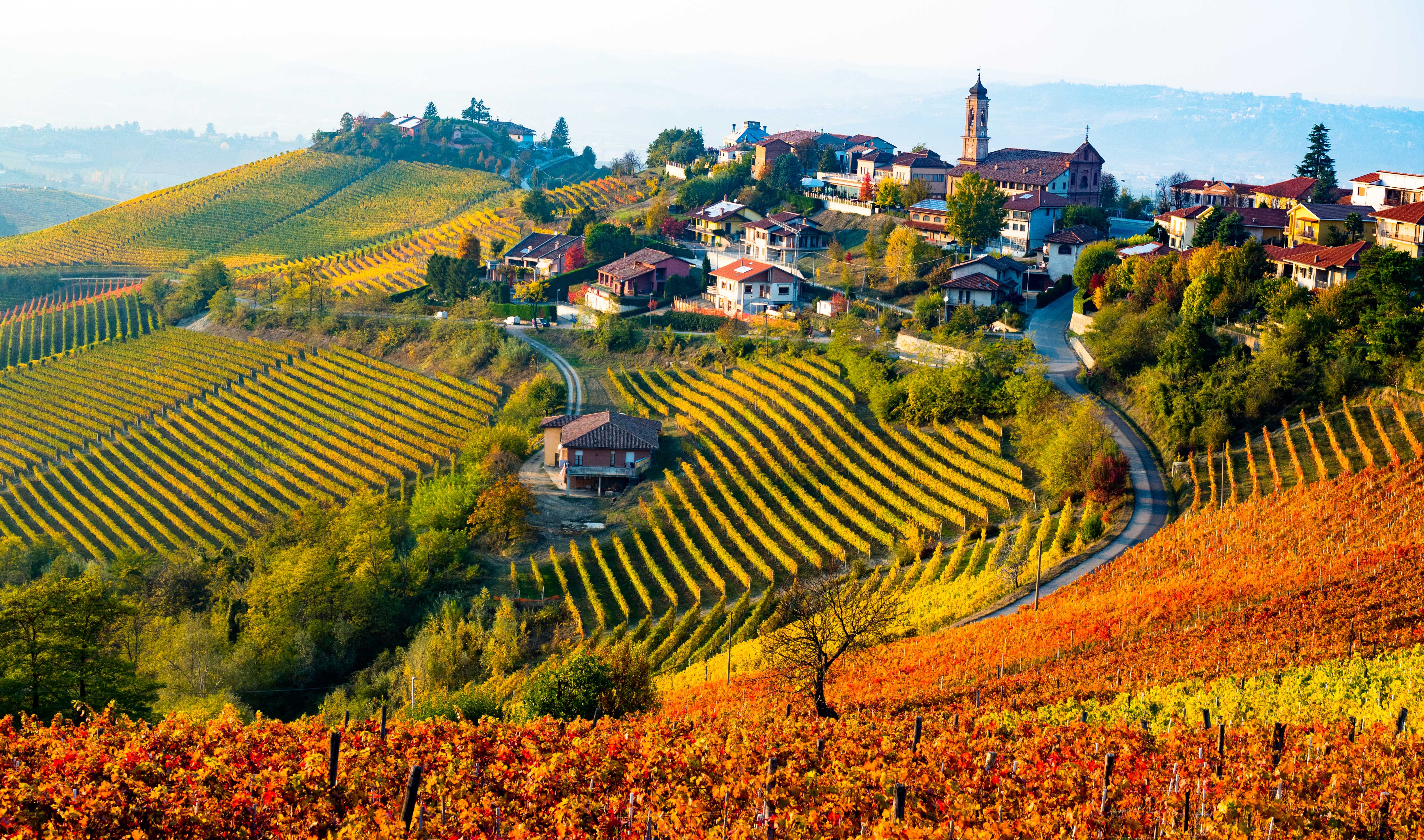 Inspiration de voyages pour Italy in Autumn: Harvests, Foliage, and Wine Festivals - Excursions privées d'une journée par Daytrip