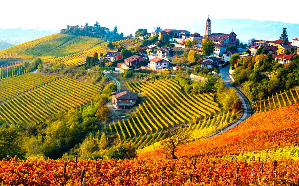 Tailored trips for Italy in Autumn: Harvests, Foliage, and Wine Festivals - Private transfers by Daytrip