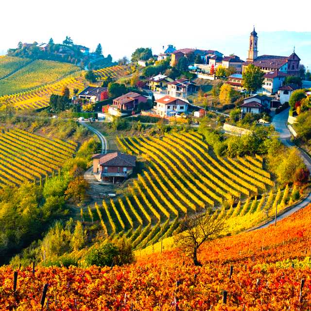 Maßgeschneiderte Fahrten für Italy in Autumn: Harvests, Foliage, and Wine Festivals - Private Transfers von Daytrip