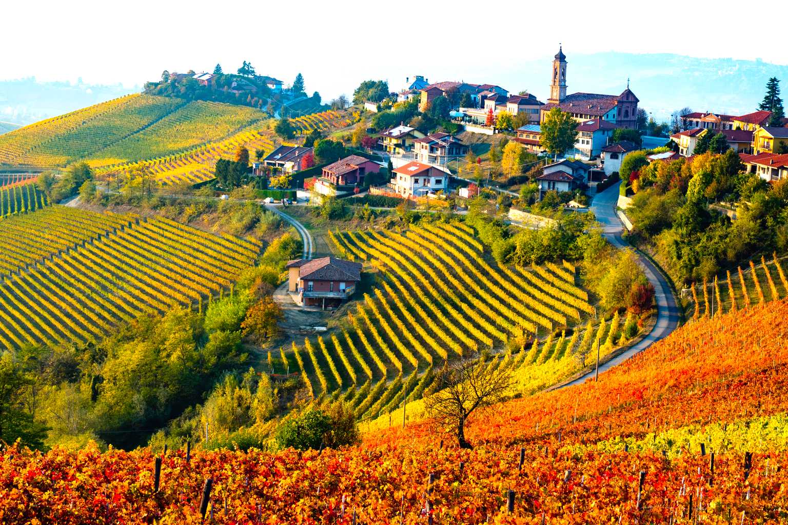 Tailored trips for Italy in Autumn: Harvests, Foliage, and Wine Festivals - Private transfers by Daytrip