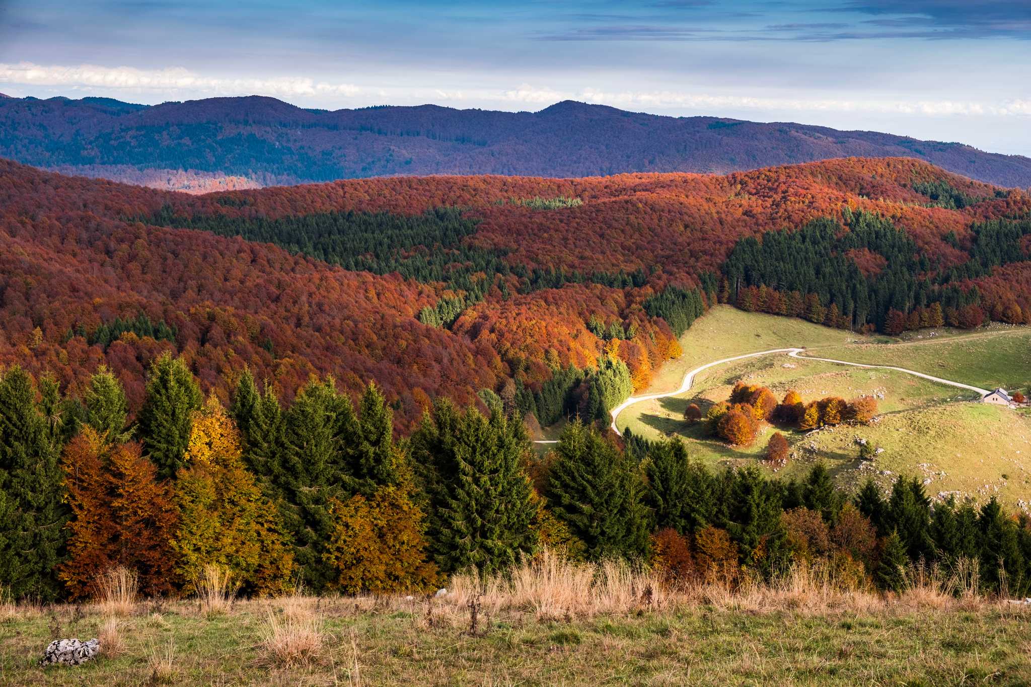 Red, orange, and green fall foliage in Cansiglio Forest, with dark mountains in the background.