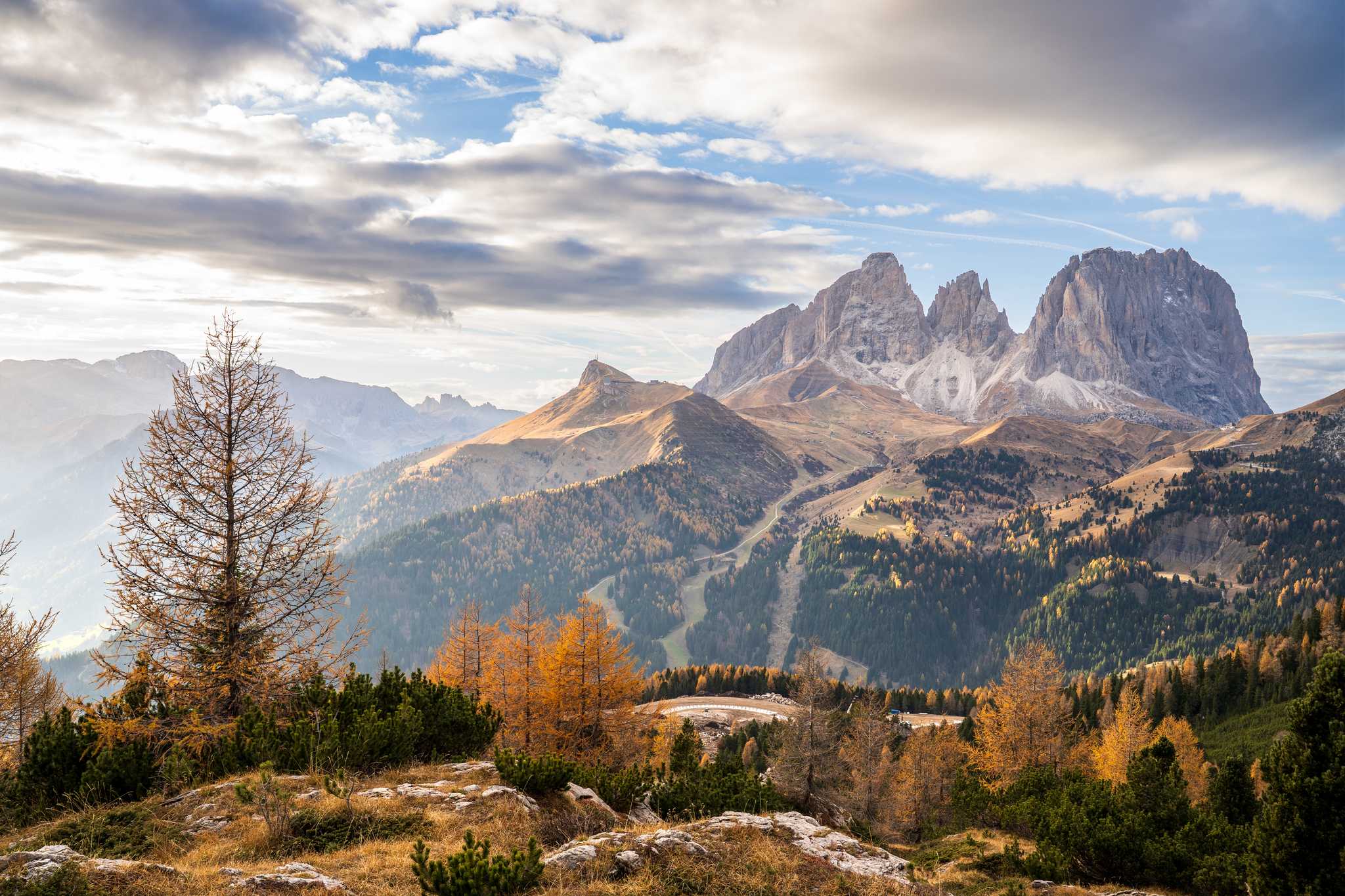 Autumn panorama of peaks in the Dolomites, with amber larch trees in the foreground.