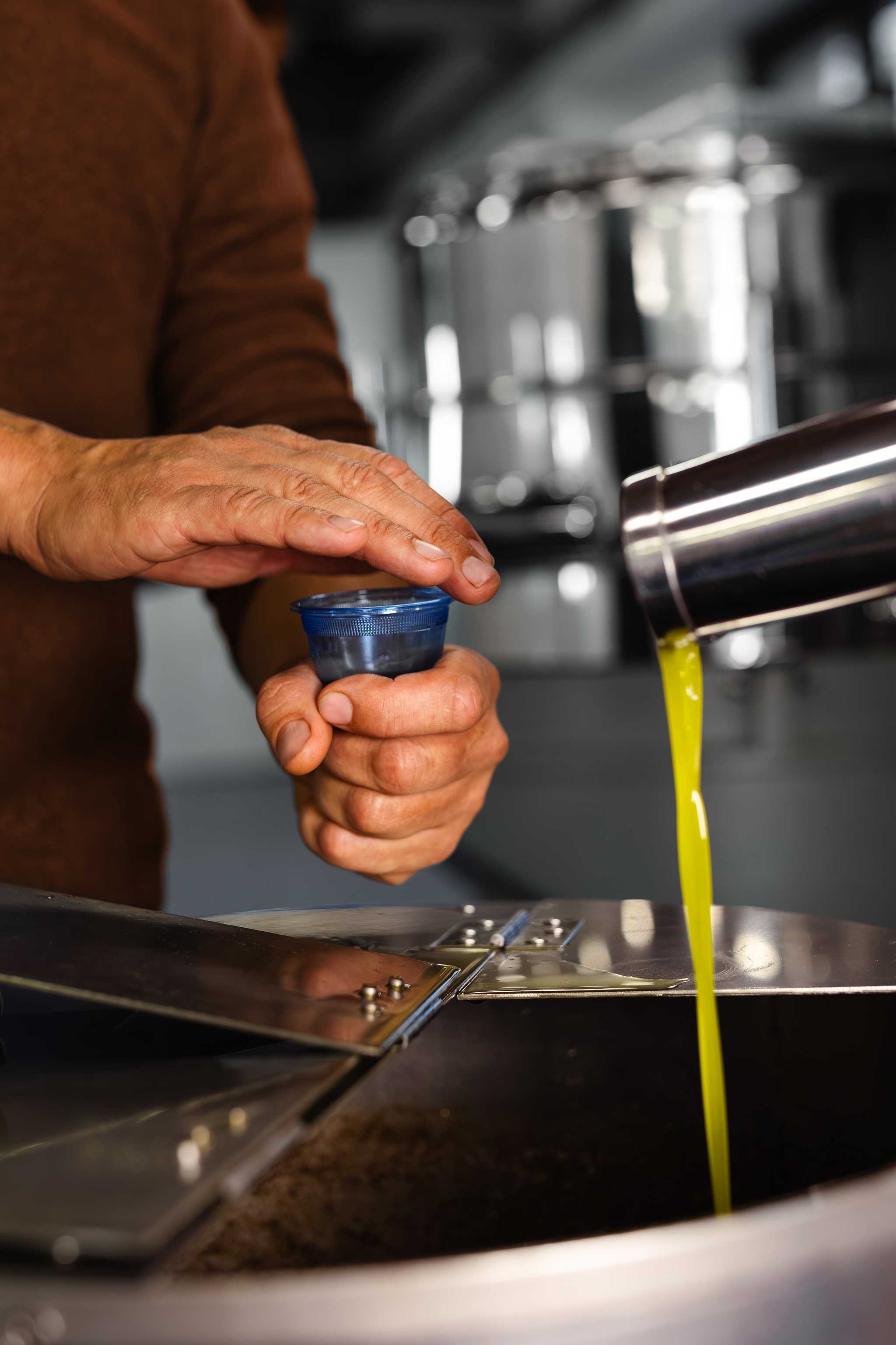 Man’s hands holding a cup in front of spout of fresh-pressed, neon green oil.