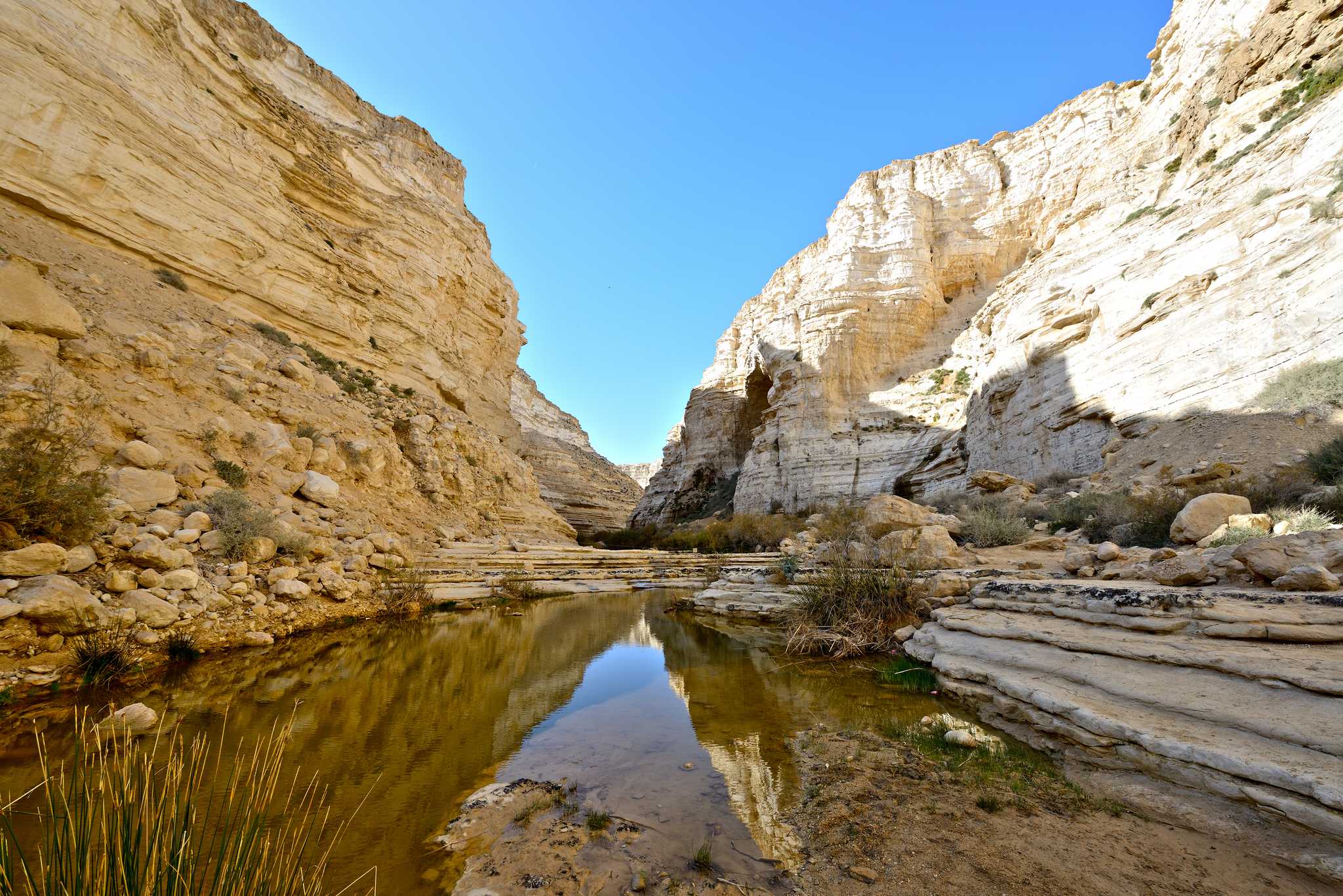 在 从 jerusalem-il 到 mitzpe-ramon-il 的途中，参观 Avdat National Park ，通过 Daytrip