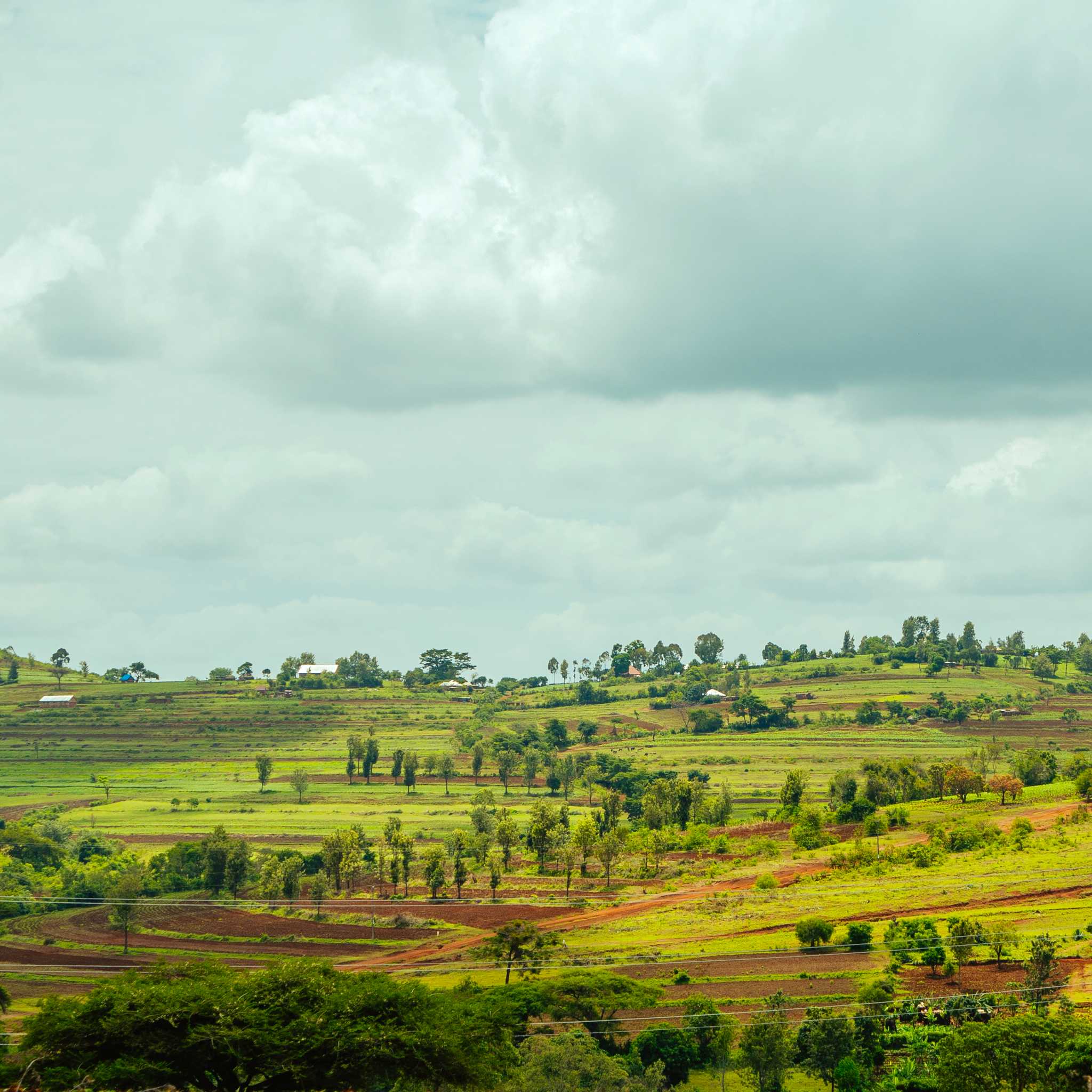 Private car transfers in Tanzania from Babati