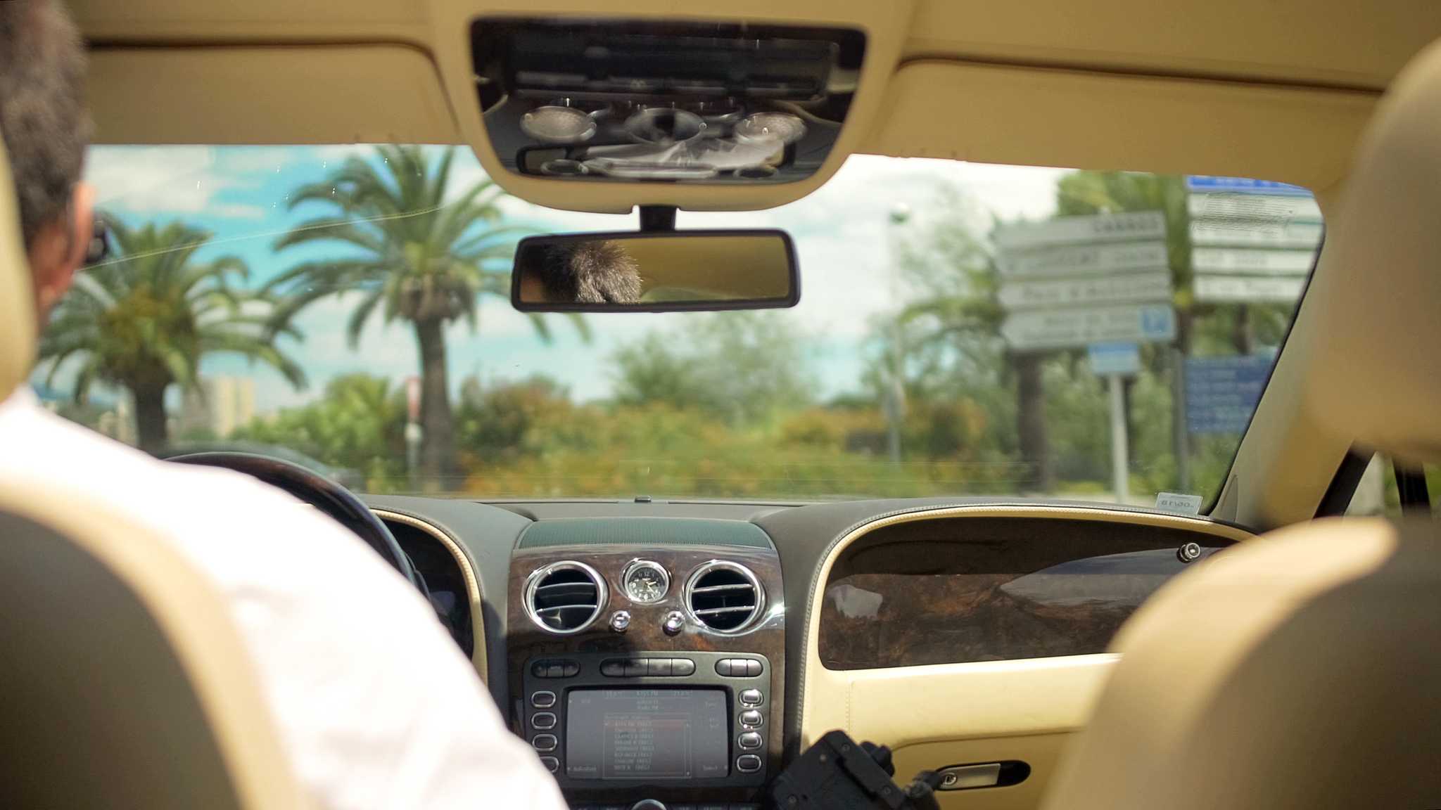 Backseat view of a driver on a sunny, palm-lined road with signs ahead.