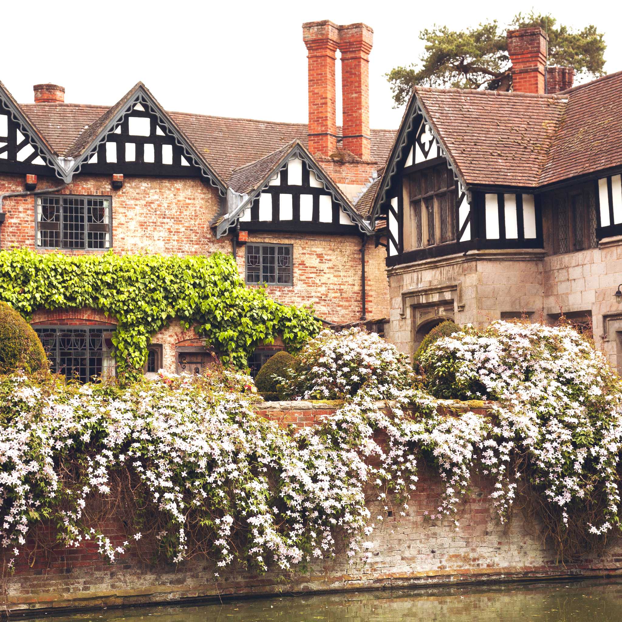 巴德斯利·克林顿