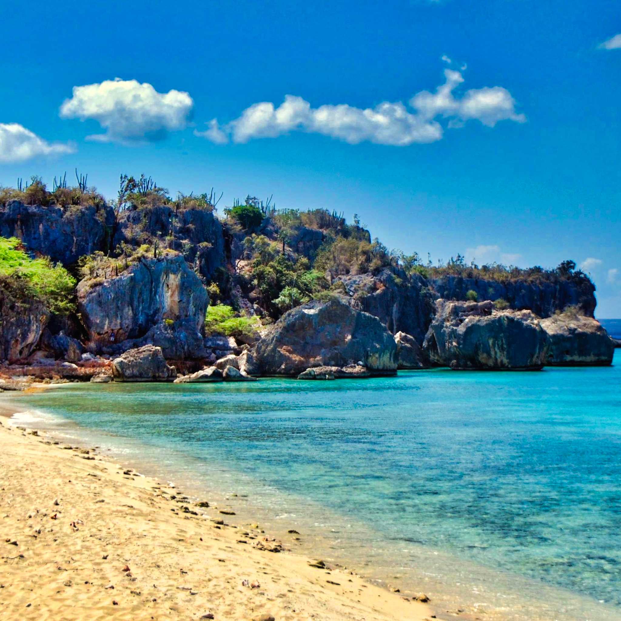 Bahia de las Aguilas