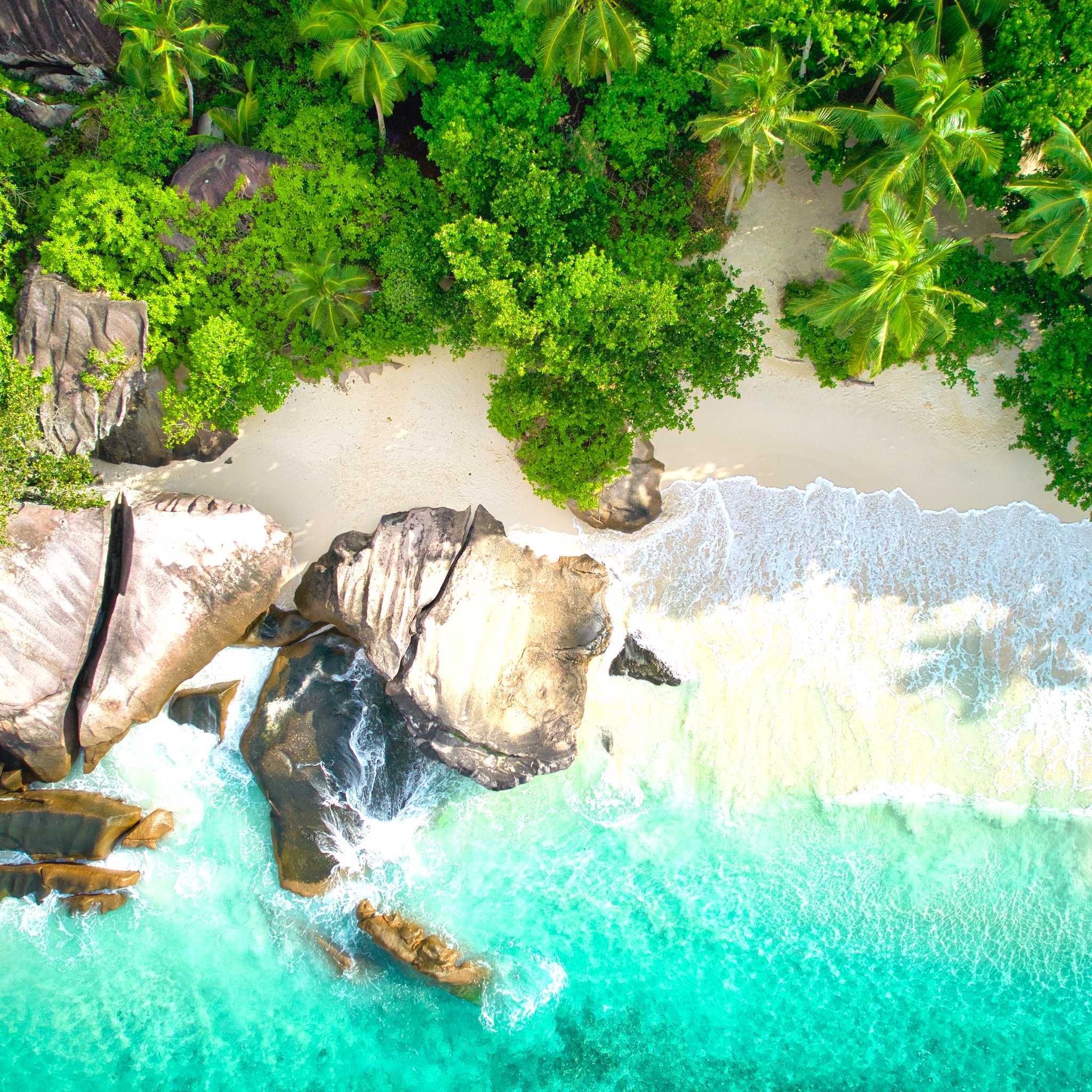 Private car transfers in Seychelles from Baie Lazare