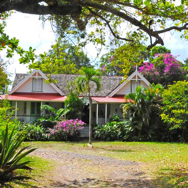 Castries to Balenbouche Plantation and Vieux Fort: Day trip