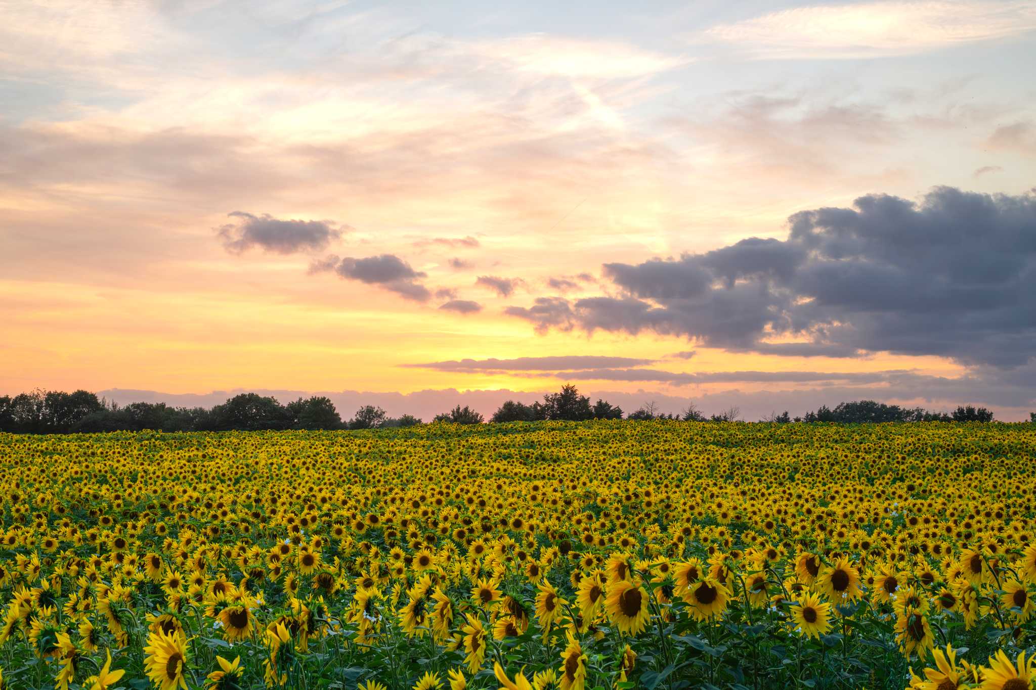 Opción privada de excursión de un día desde Edinburgh