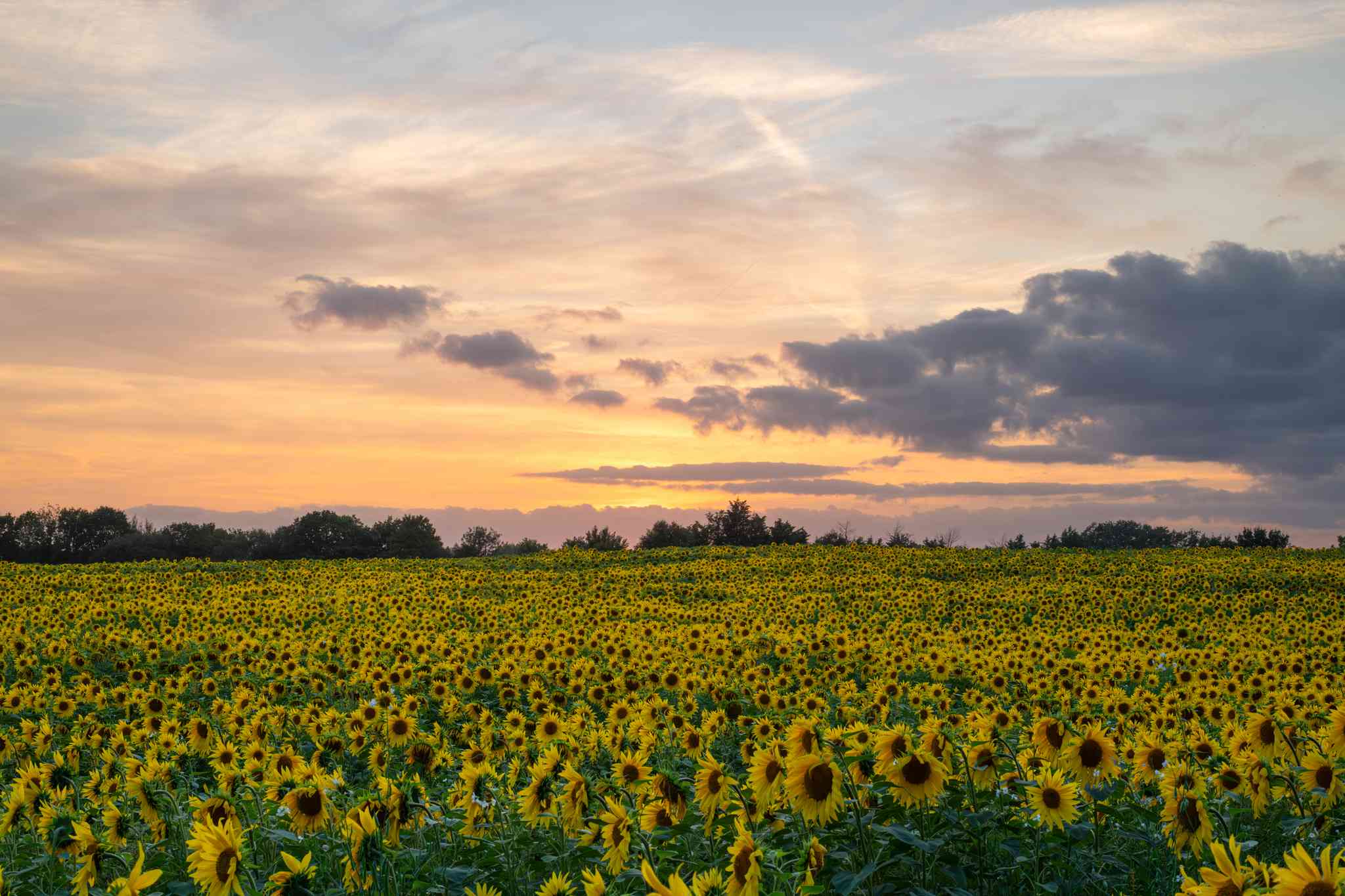 Vista panorámica de Edinburgh - excursión privada de un día desde Edinburgh - foto 1