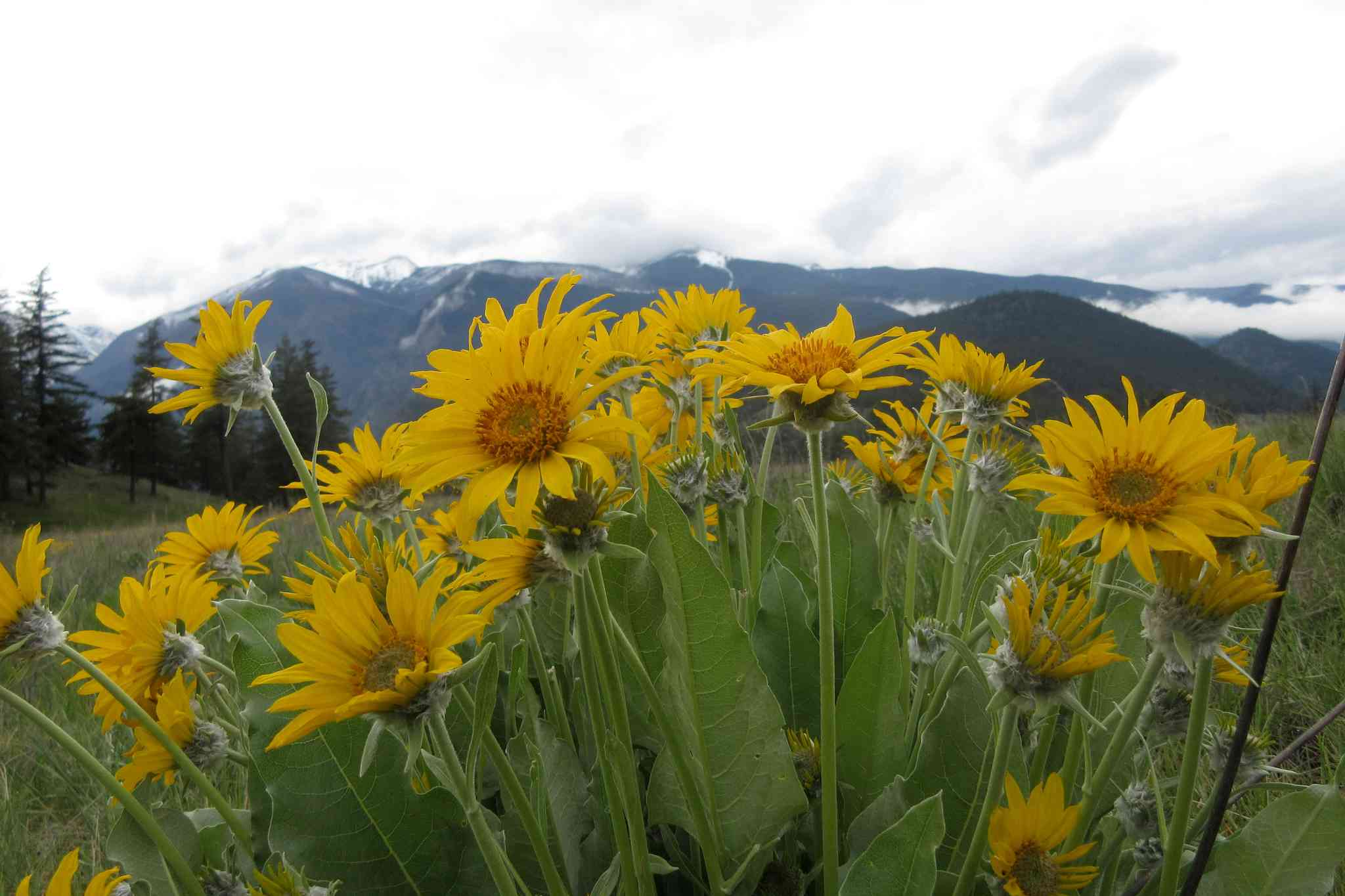 Vista panorámica de Edinburgh - excursión privada de un día desde Edinburgh - foto 4