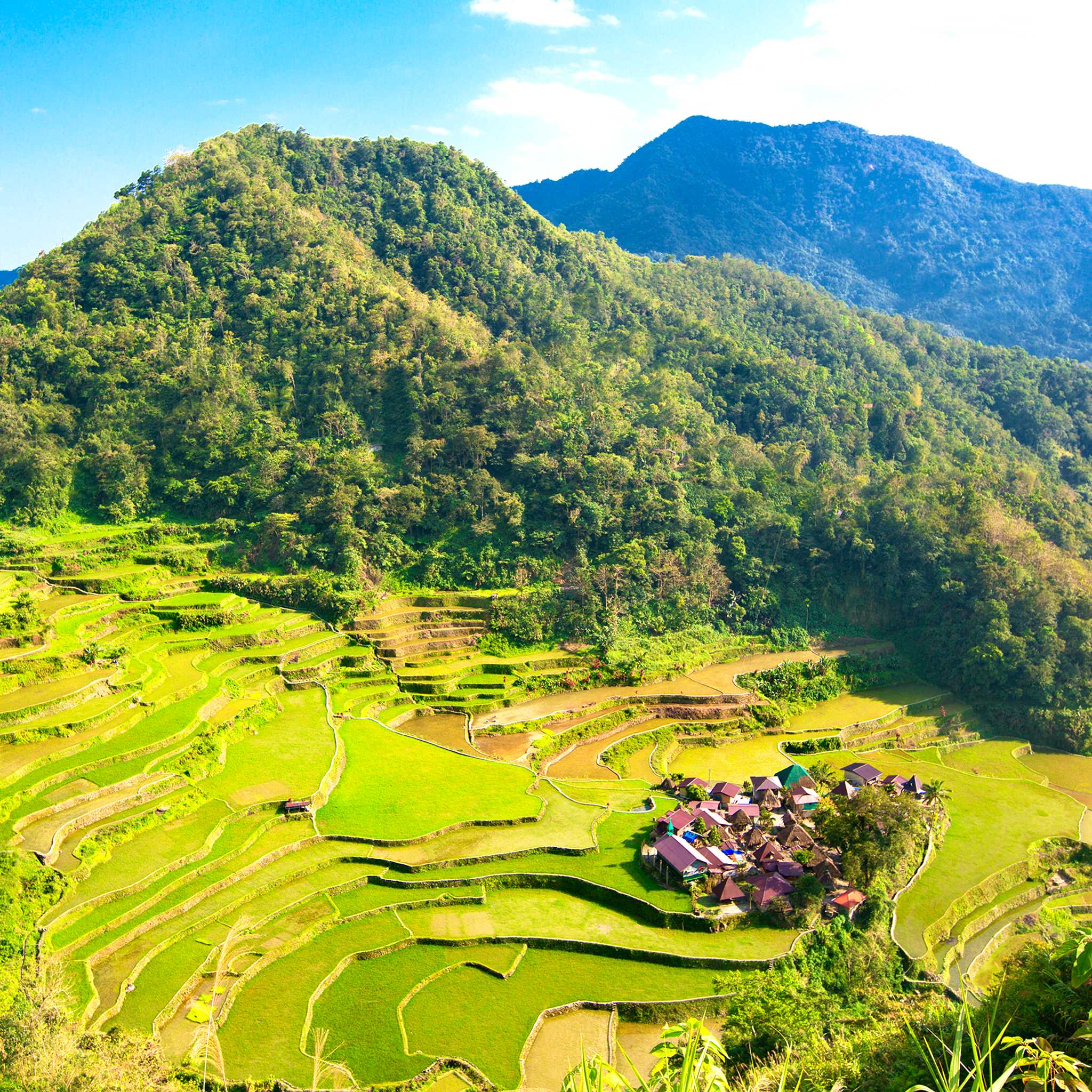 巴那韦稻田梯田