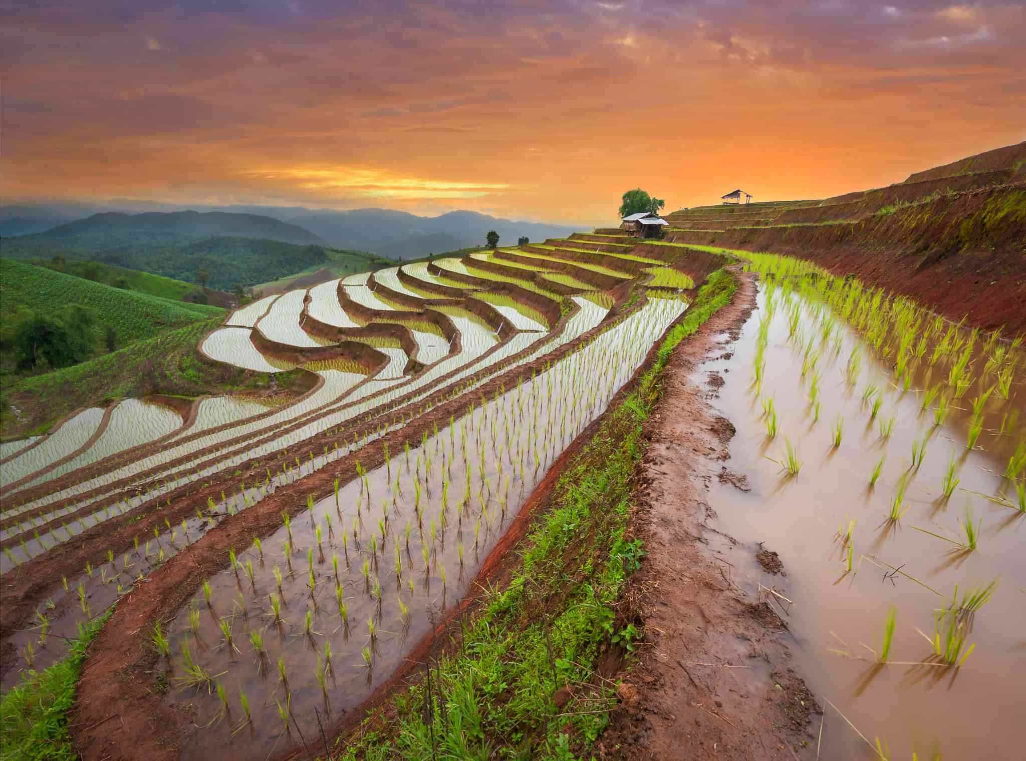 Blick auf die Landschaft von Reisterrassen von Banaue - private Tagesreise von Angeles City, Philippinen - Foto 3