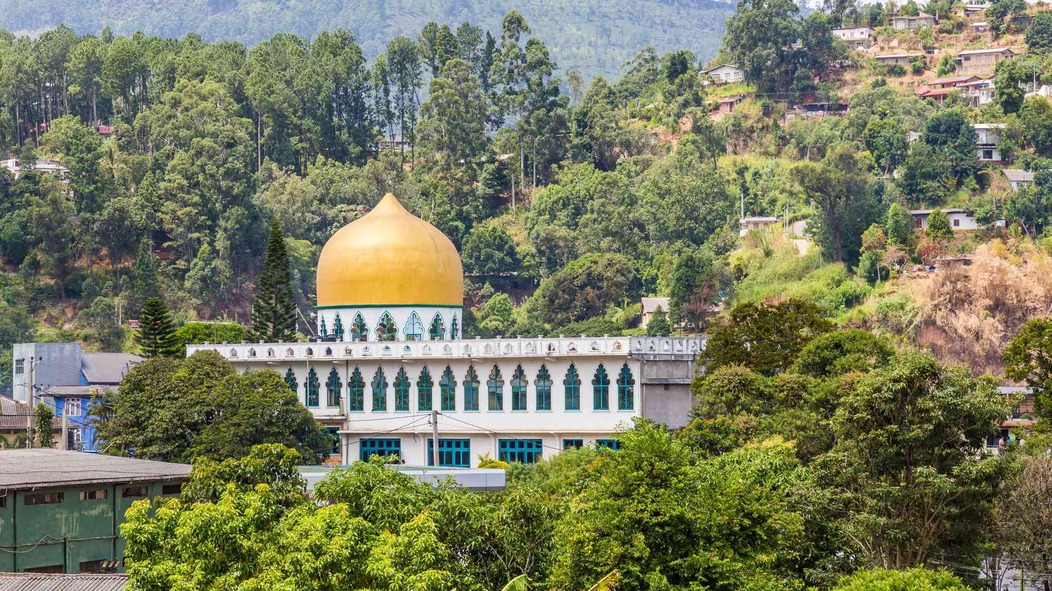 Vista cênica de Kandy - excursão particular de um dia de Bandarawela - foto 7