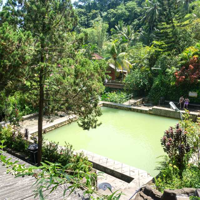 Ubud to Banjar Hot Spring: Private day trip