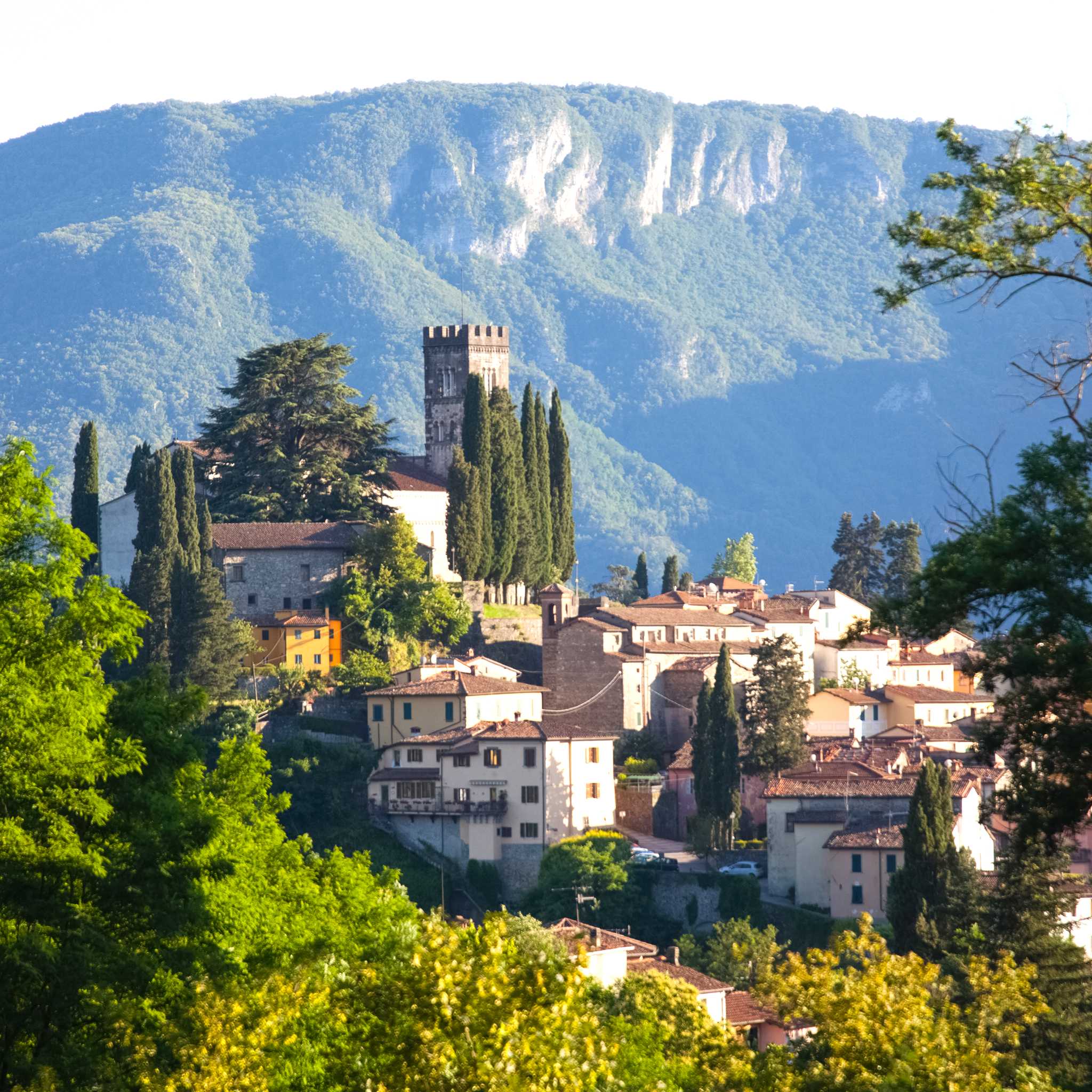 Barga